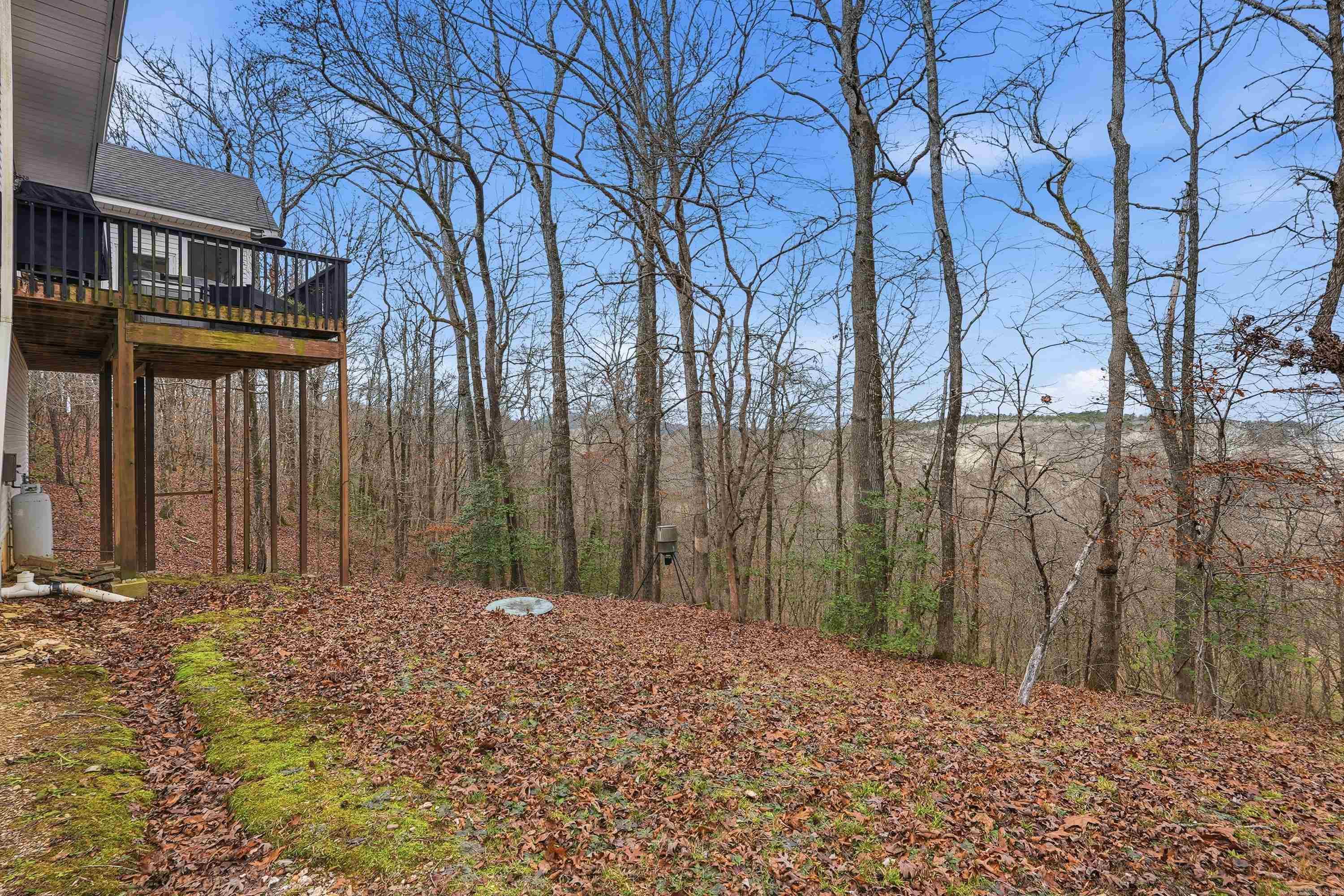 7 Galope Place  Hot Springs Village, AR