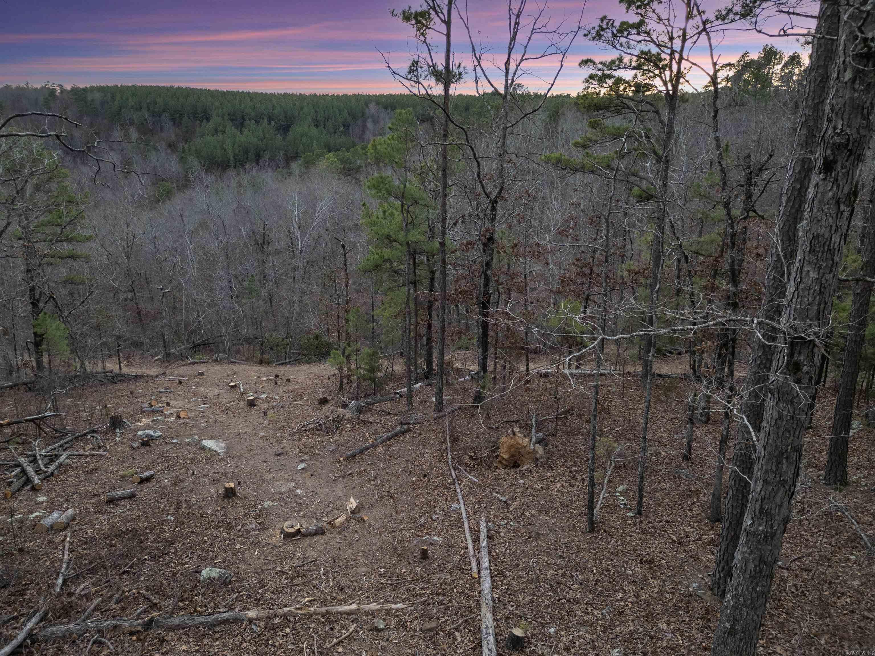 000 Timberline Drive  Leslie, AR