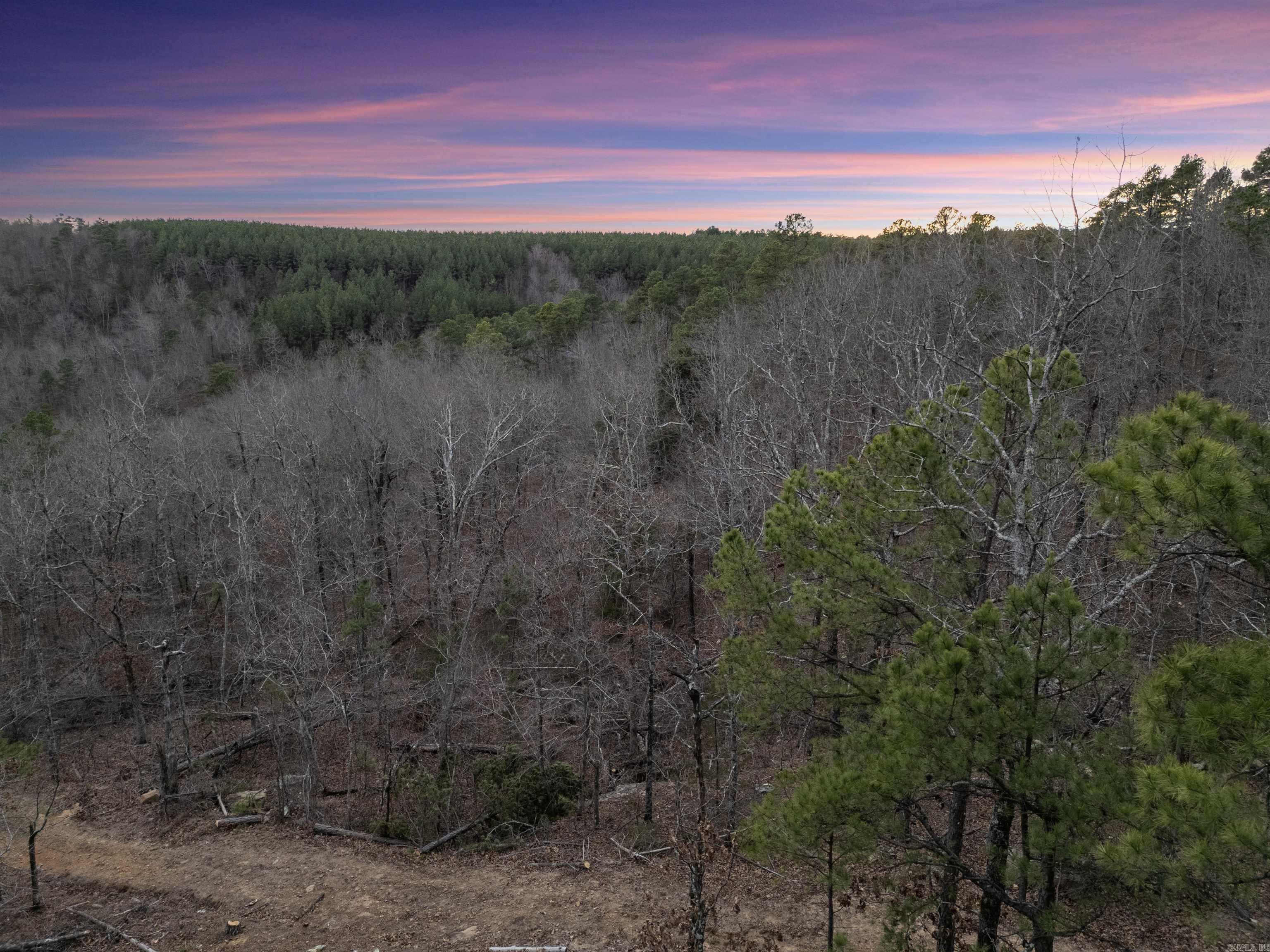 000 Timberline Drive  Leslie, AR