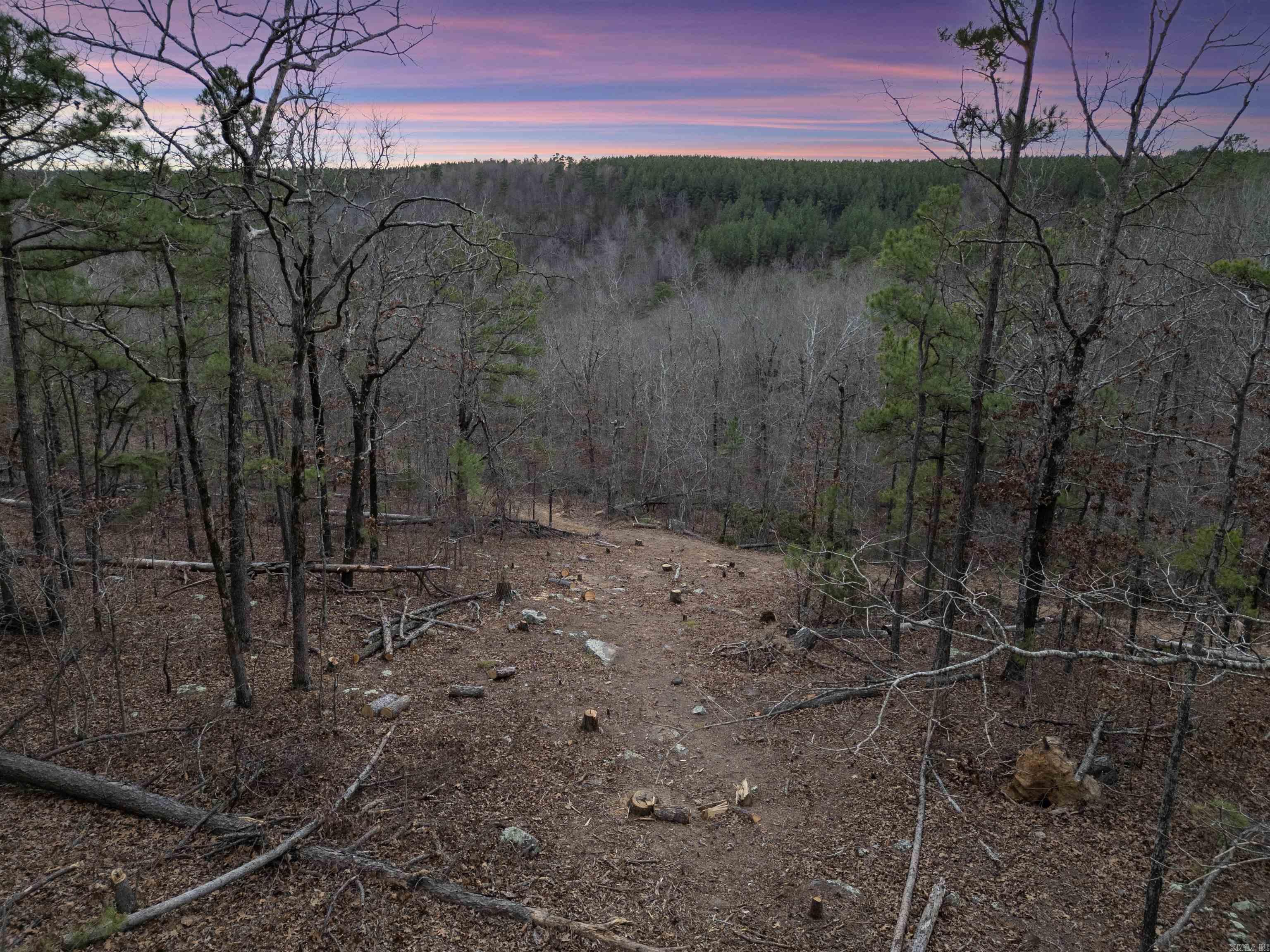 000 Timberline Drive  Leslie, AR