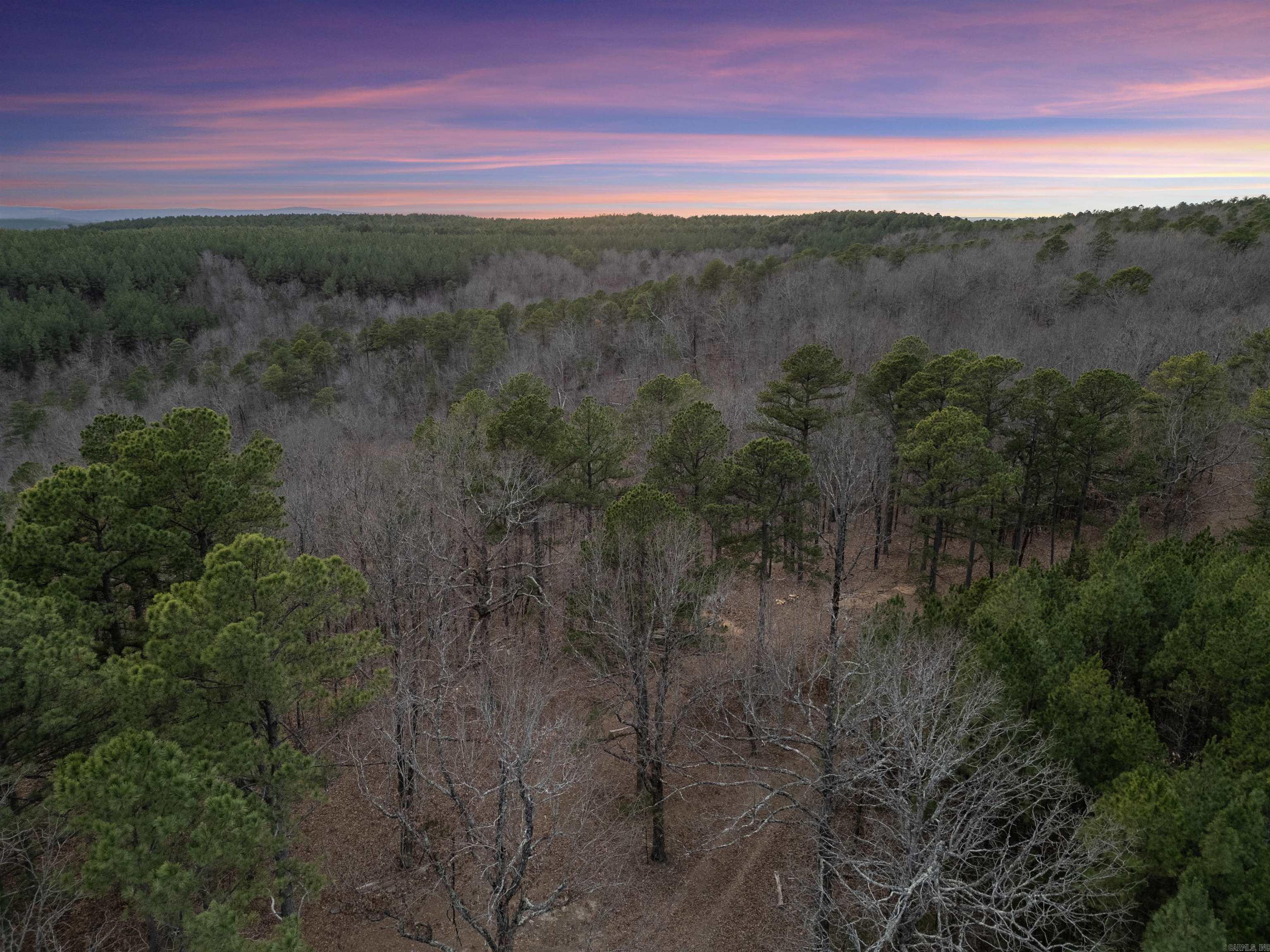 000 Timberline Drive  Leslie, AR