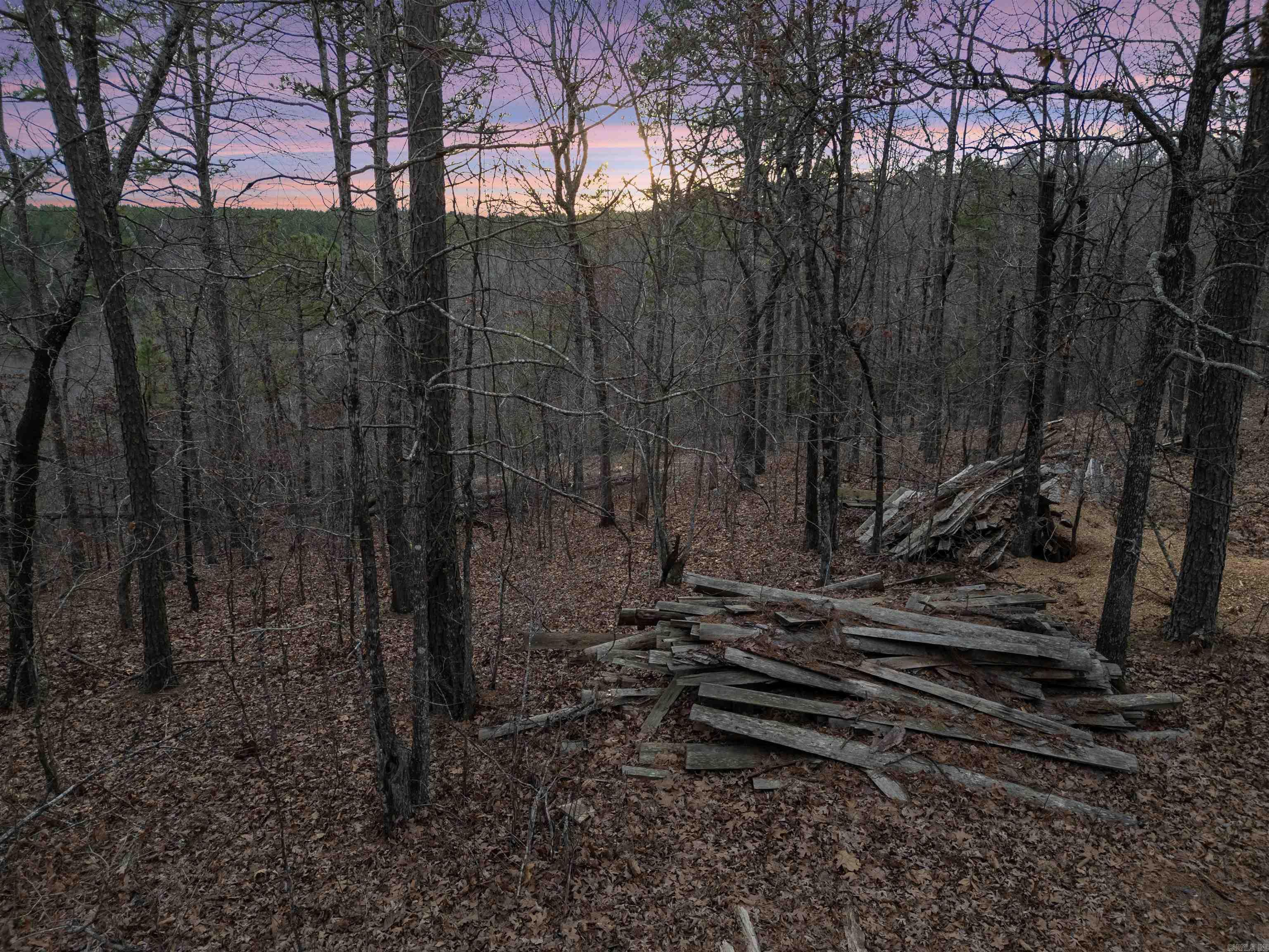 000 Timberline Drive  Leslie, AR