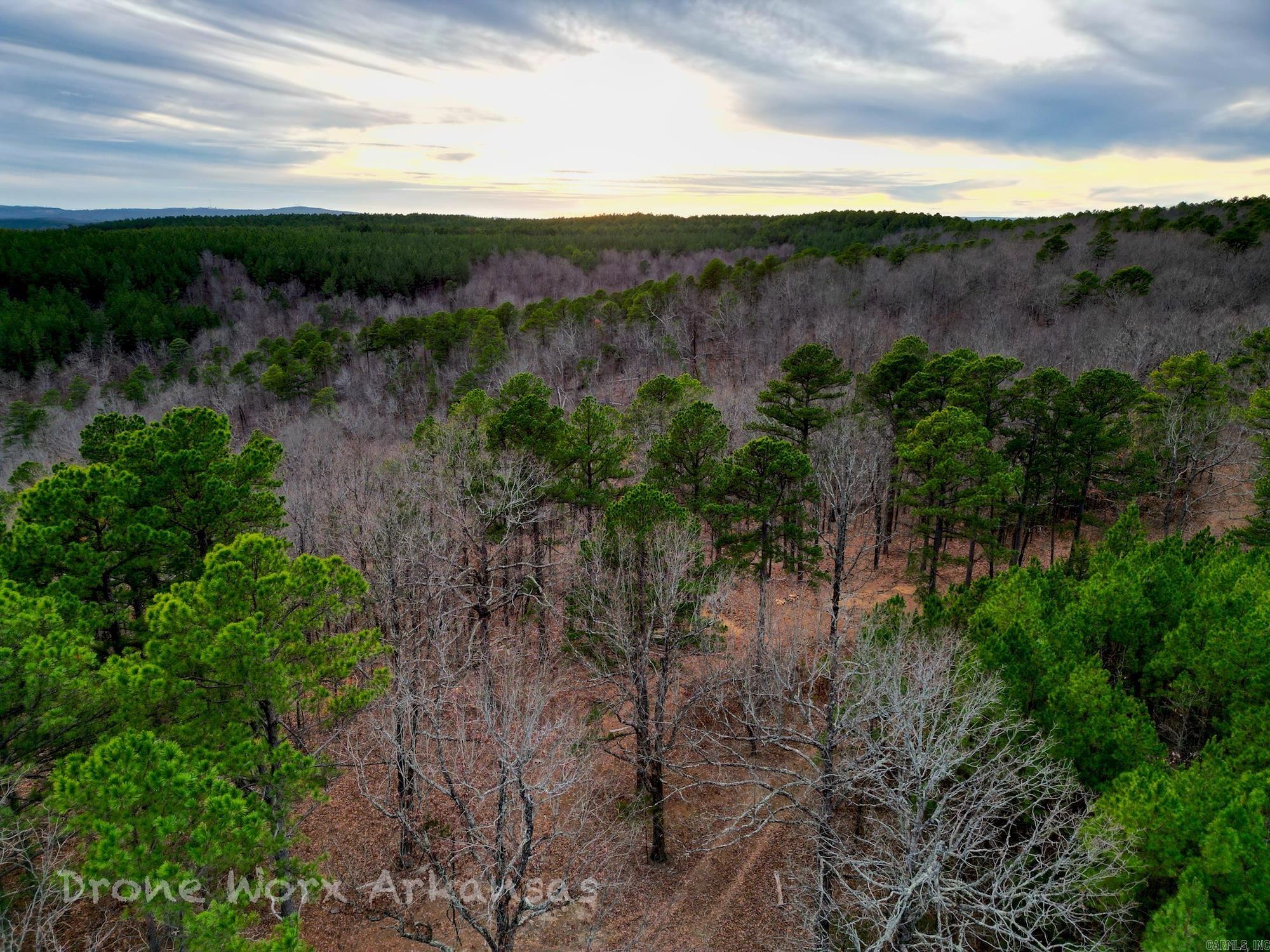 000 Timberline Drive  Leslie, AR