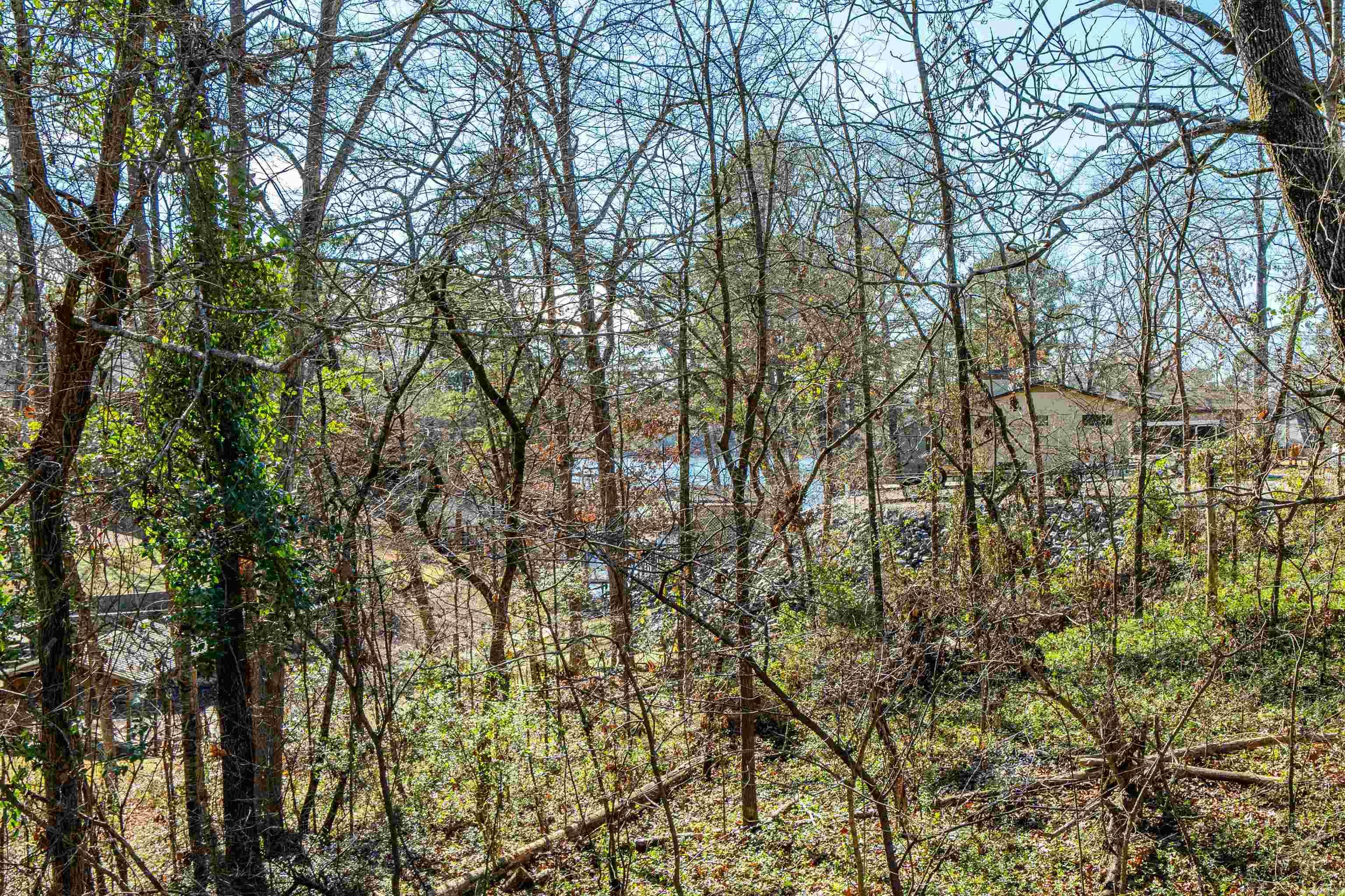 115 Pineknoll  Hot Springs, AR