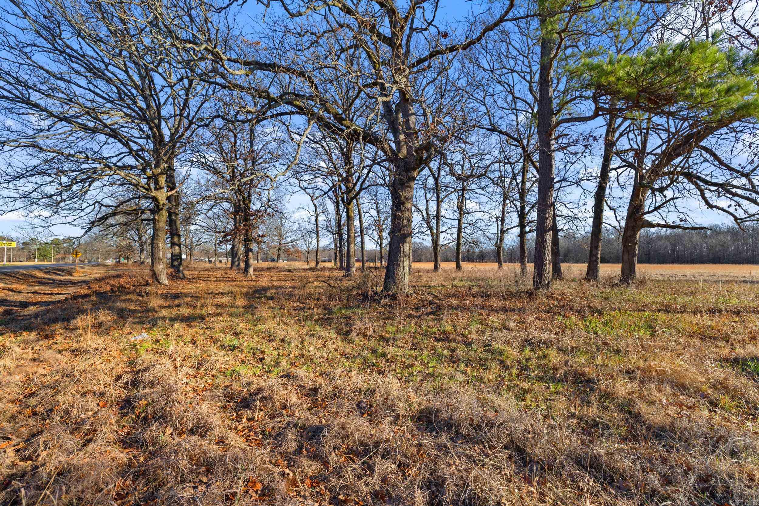 Tract 2 Hwy 15  Lonoke, AR