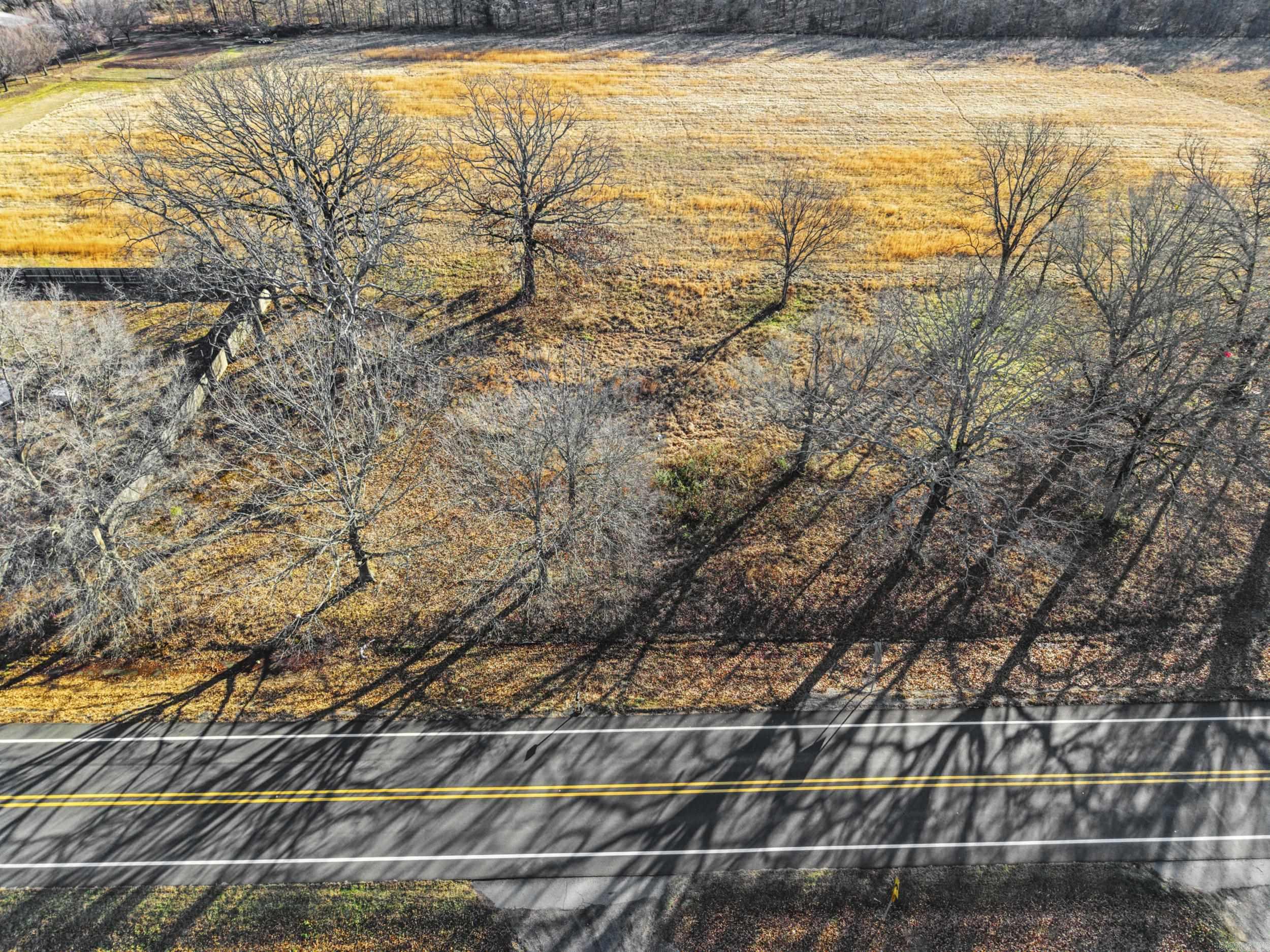 Tract 3 Hwy 15  Lonoke, AR