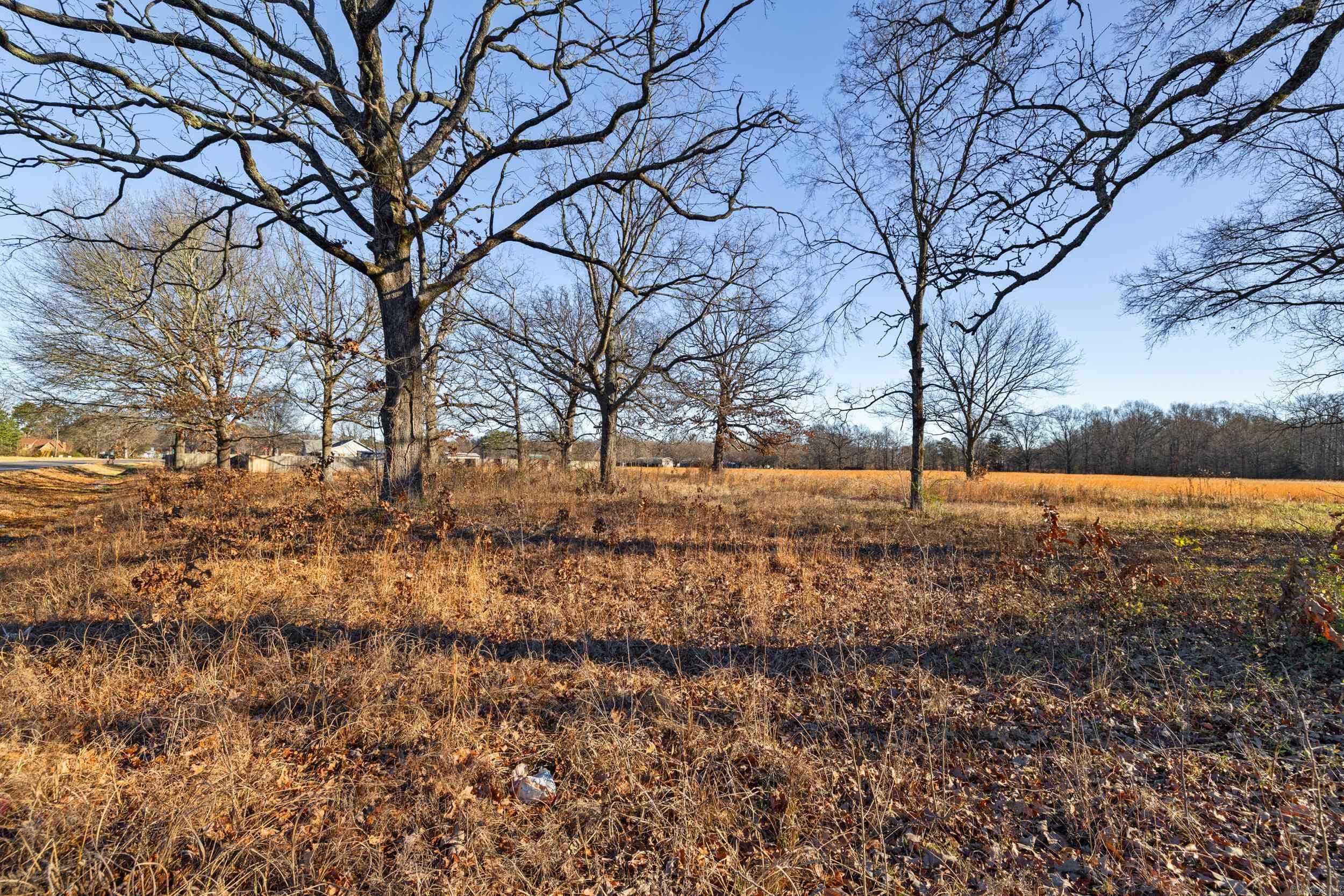 Tract 3 Hwy 15  Lonoke, AR