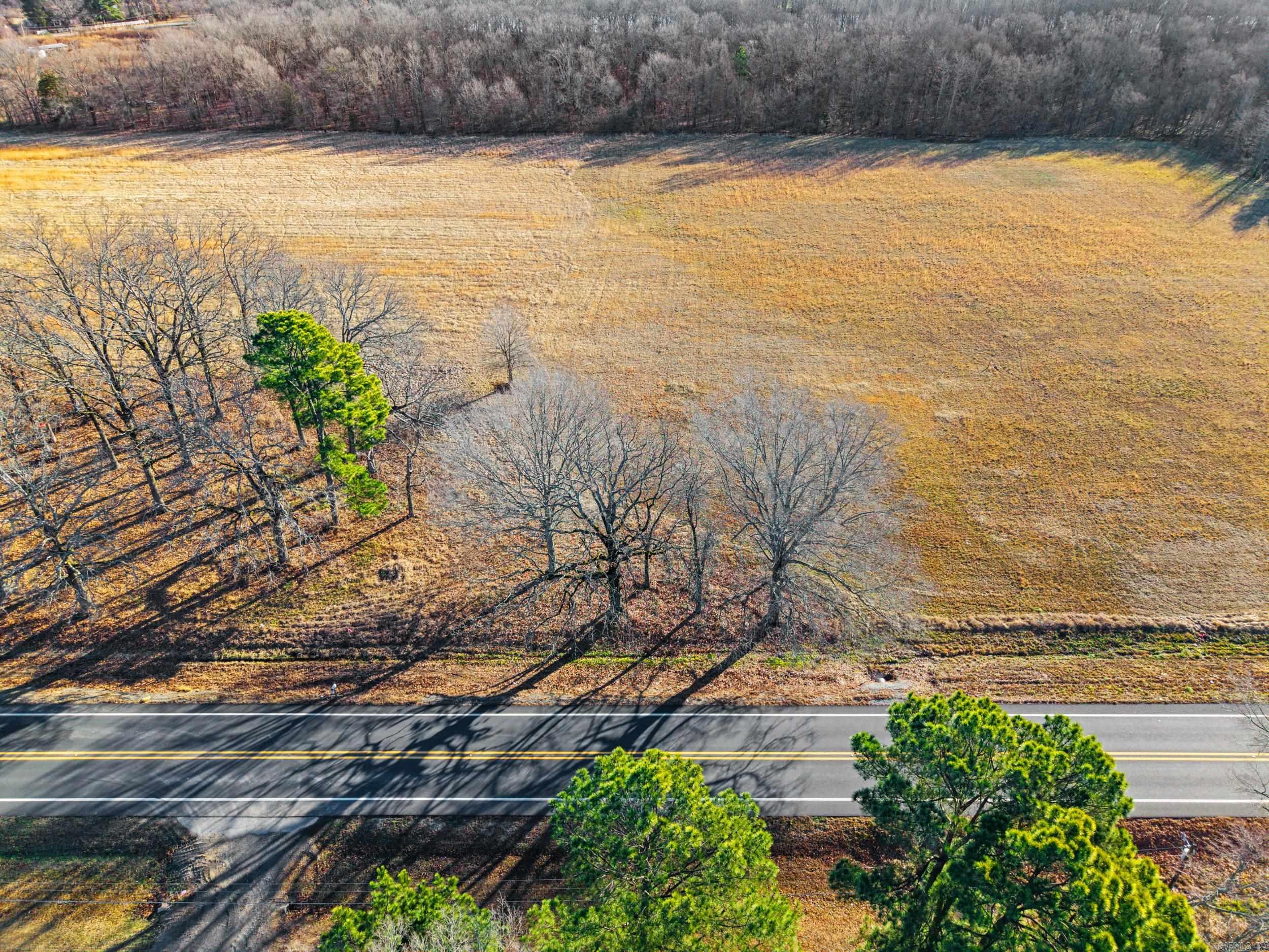 Tract 3 Hwy 15  Lonoke, AR