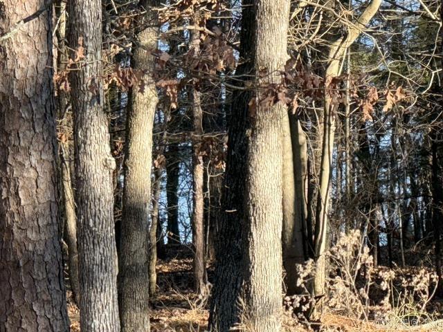 525 E Shore  Drasco, AR