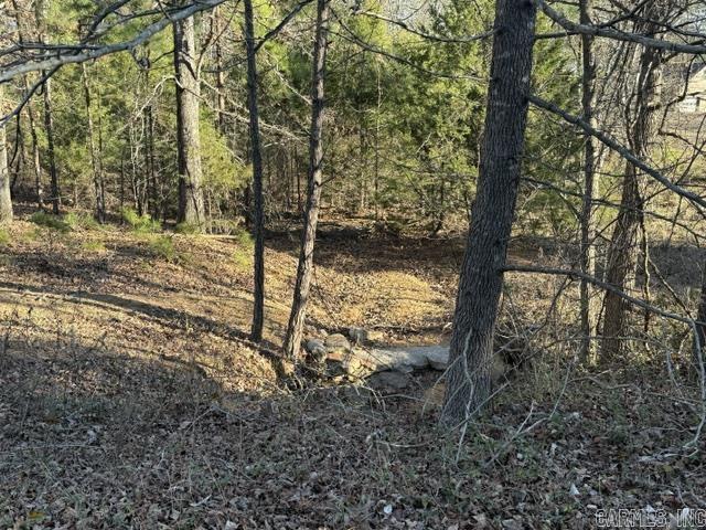 525 E Shore  Drasco, AR