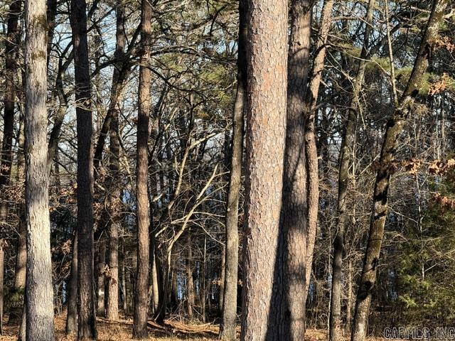 525 E Shore  Drasco, AR