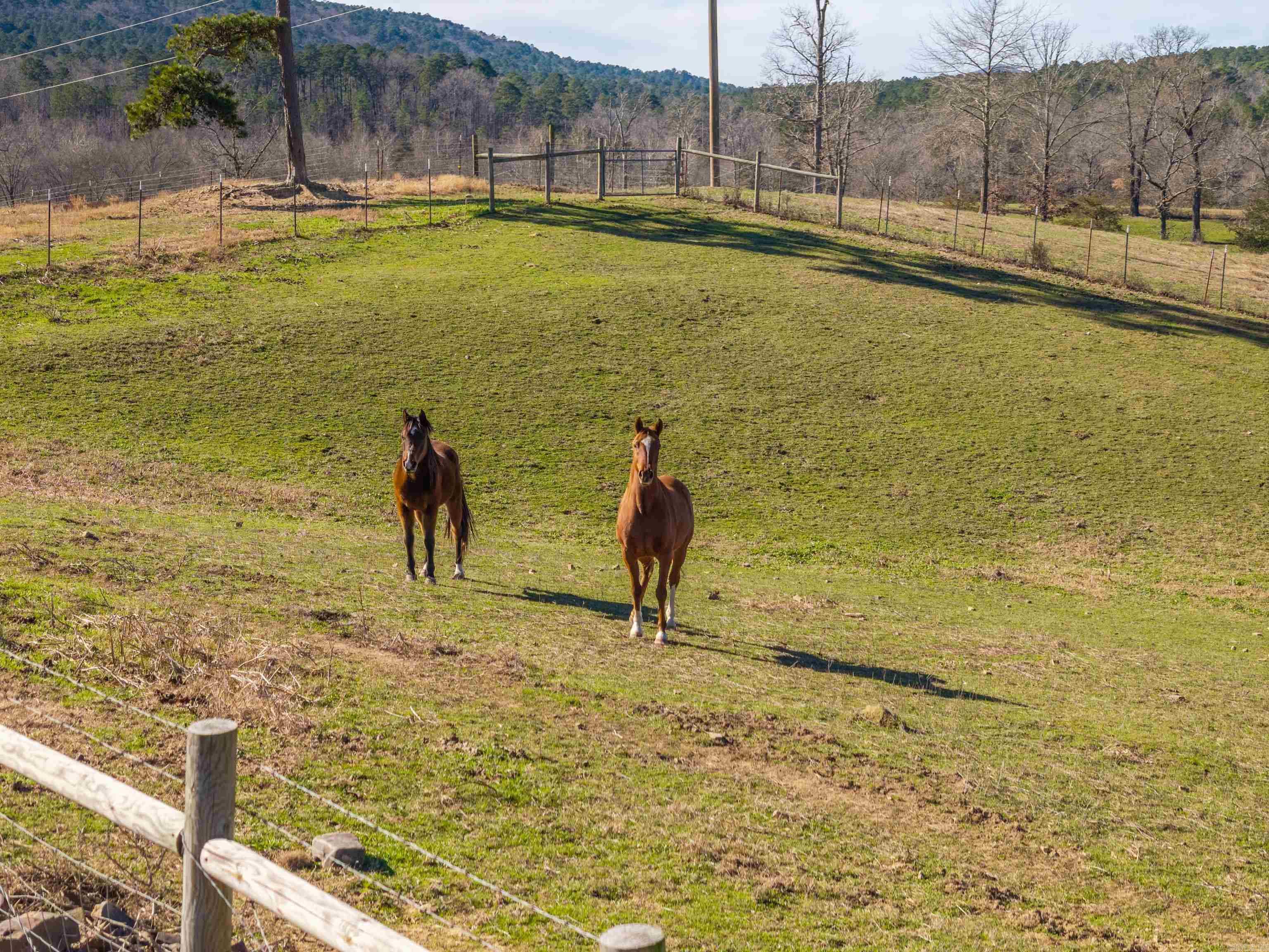 3329 Old Caddo Gap  Bonnerdale, AR