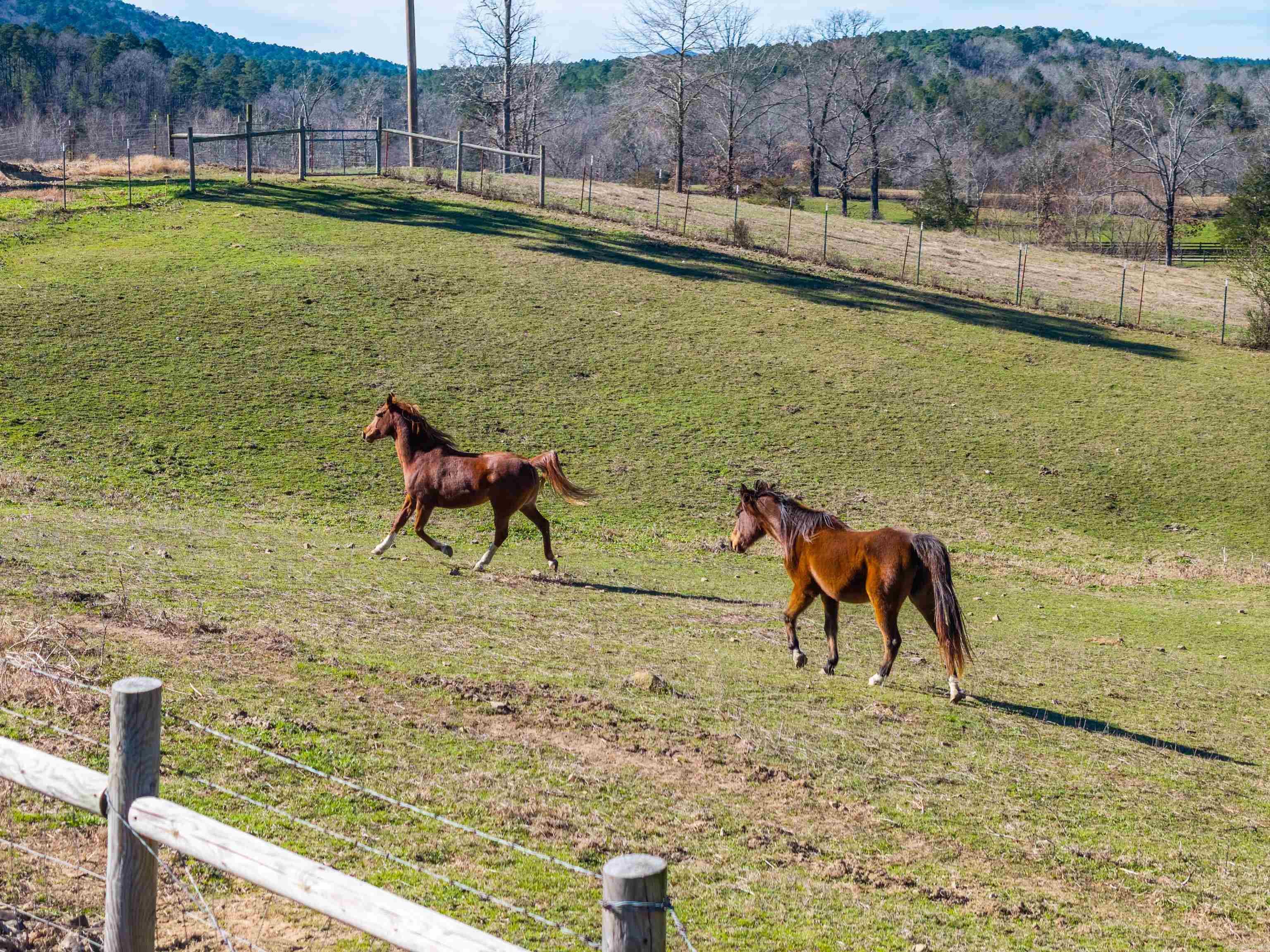 3329 Old Caddo Gap  Bonnerdale, AR