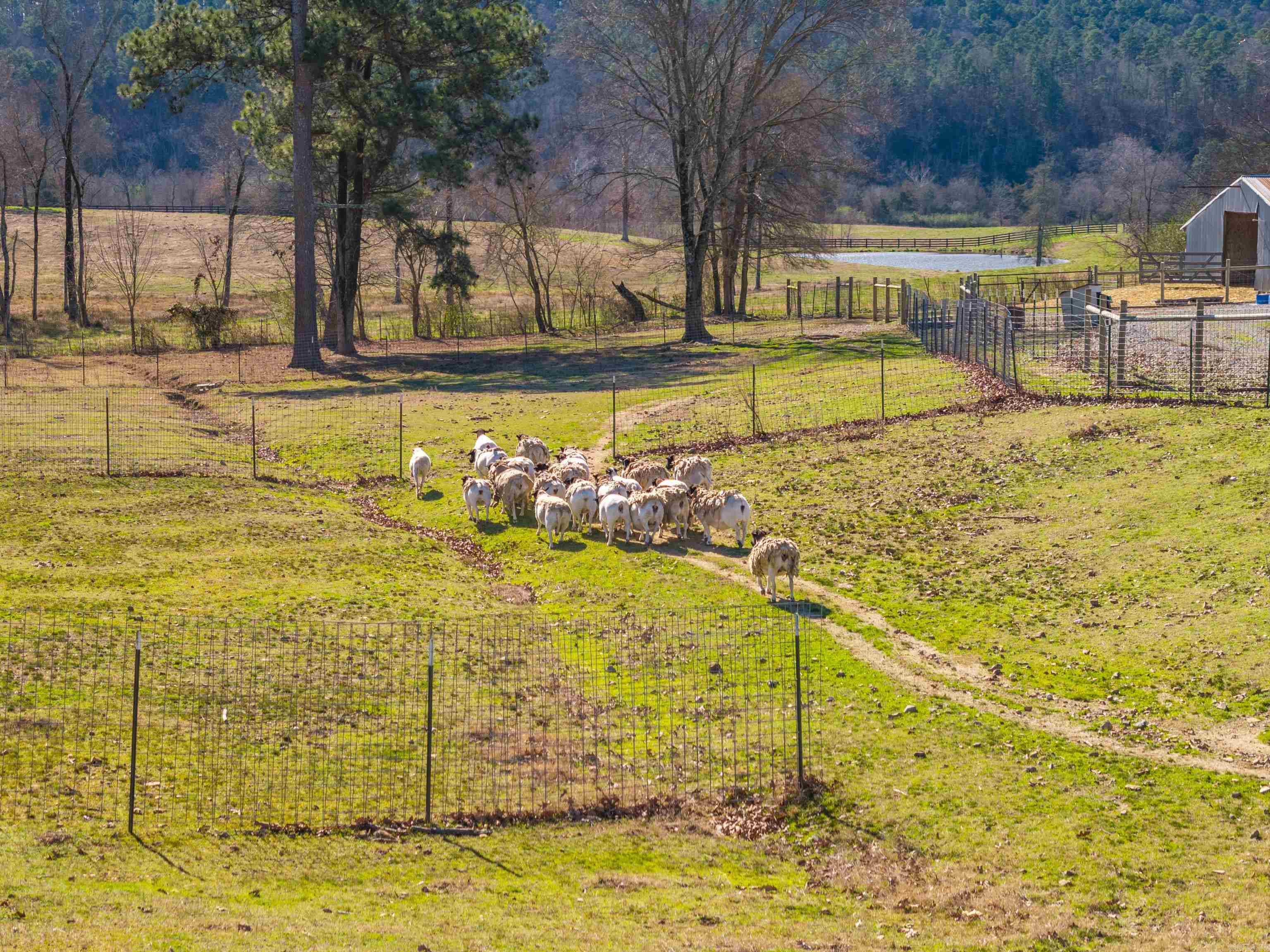 3329 Old Caddo Gap  Bonnerdale, AR