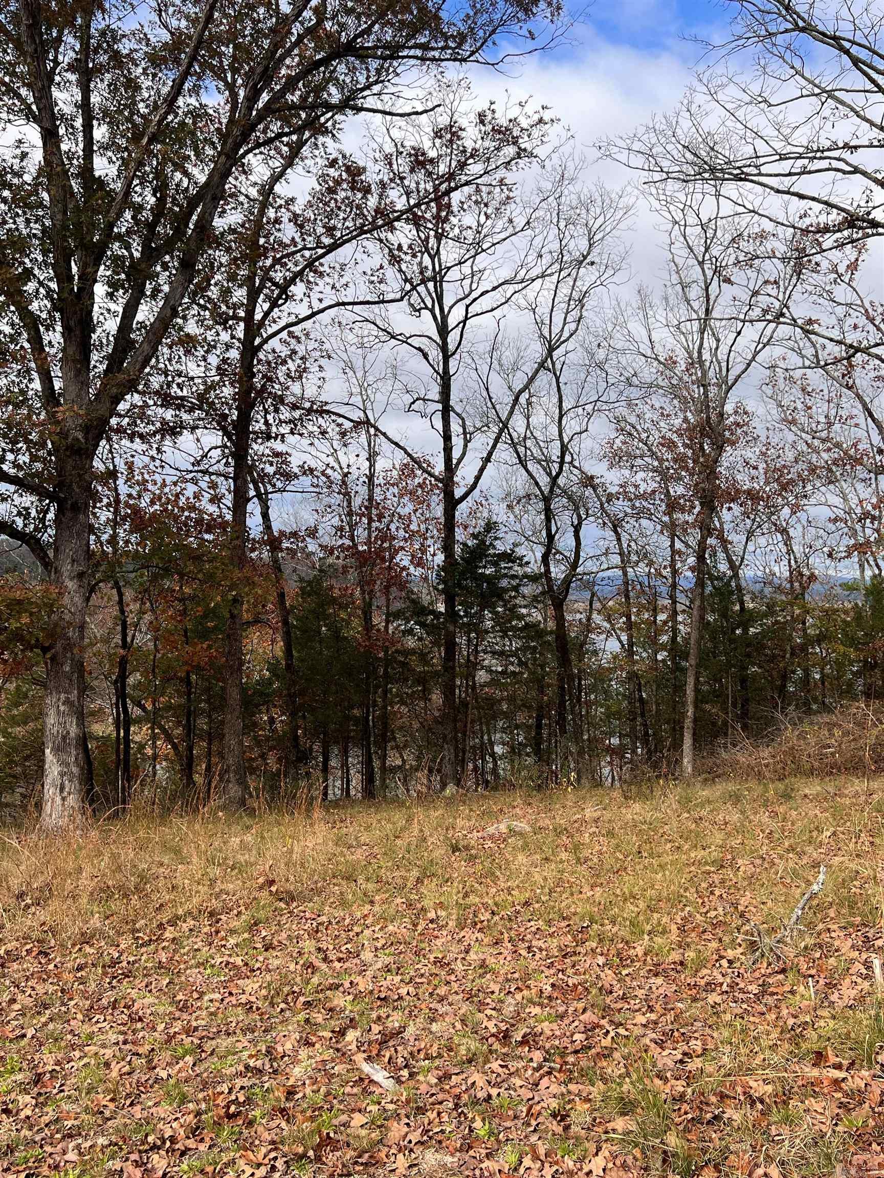 589 PR 2721  London, AR