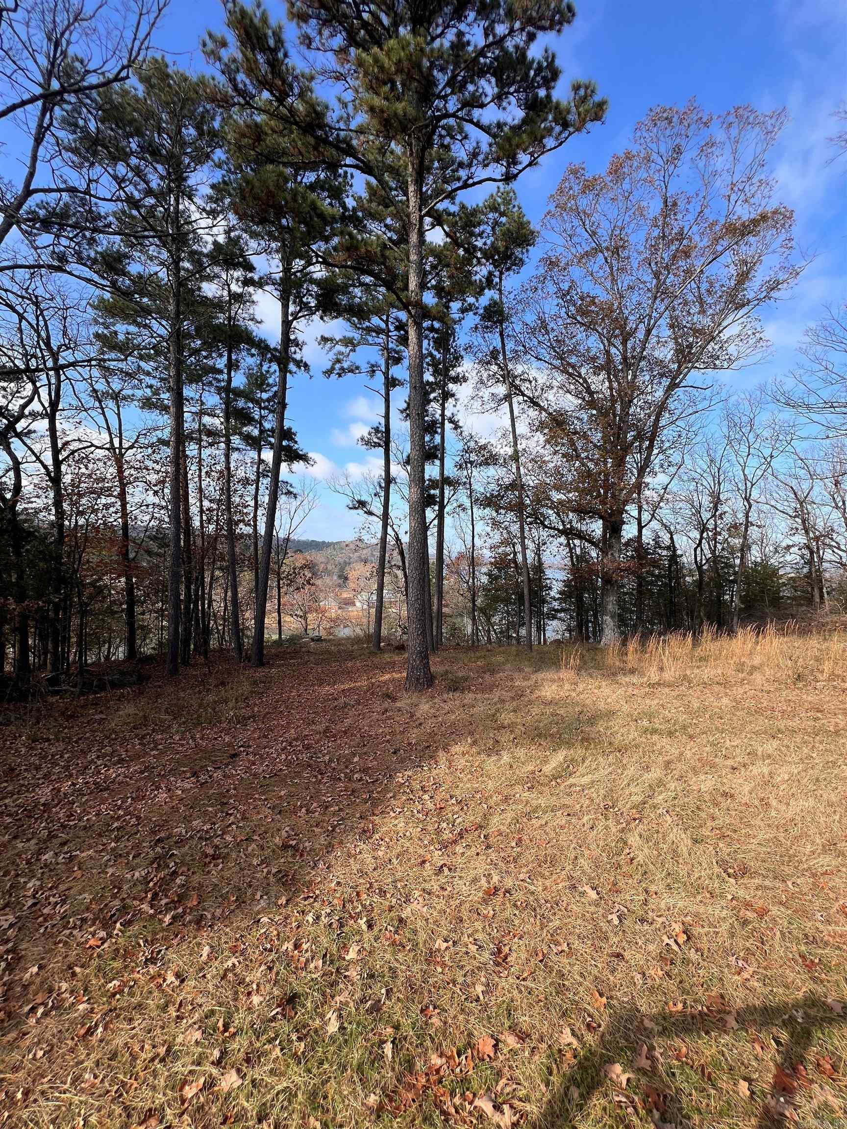 589 PR 2721  London, AR