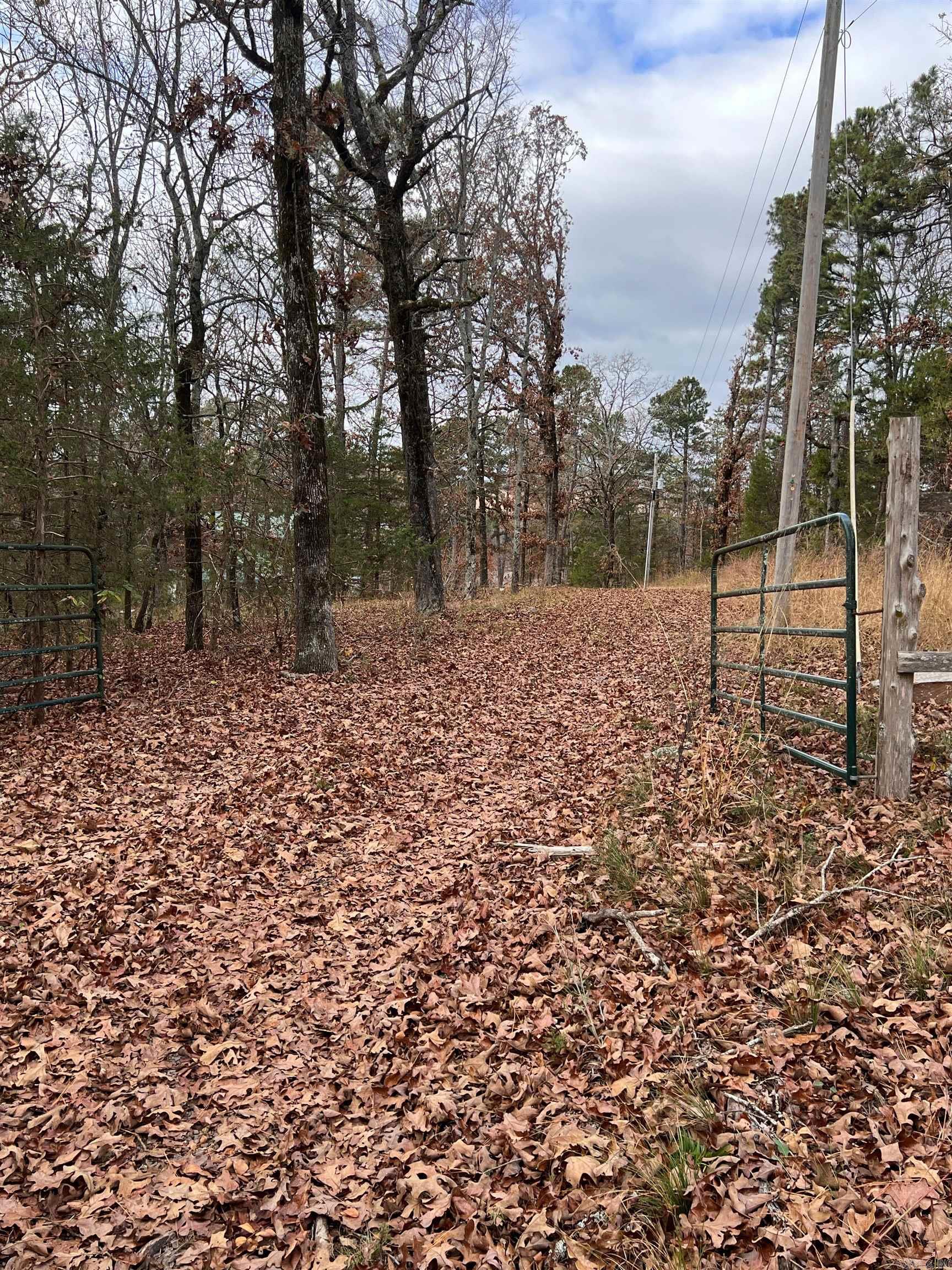 589 PR 2721  London, AR