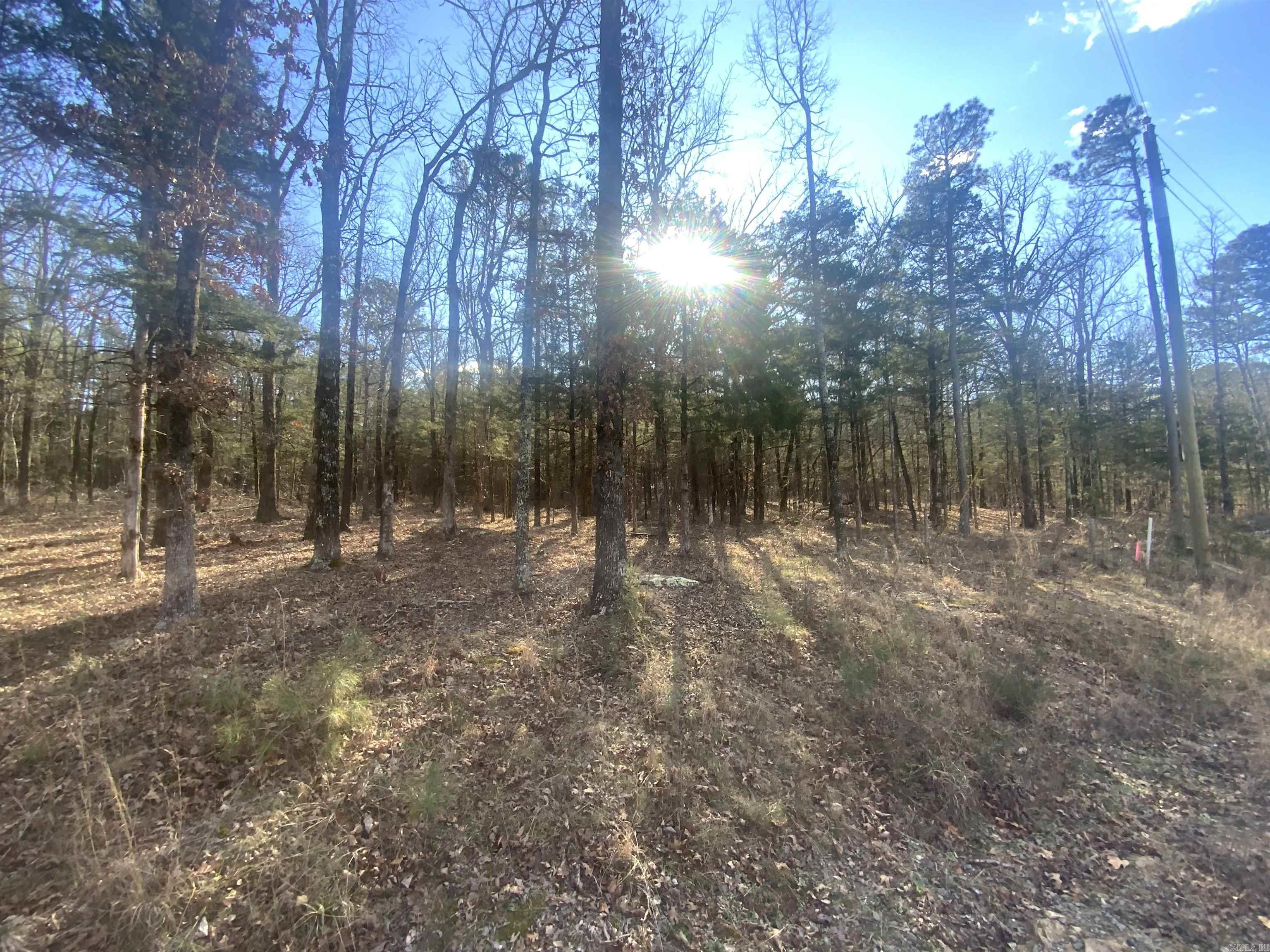 000 Fox Run  Greers Ferry, AR