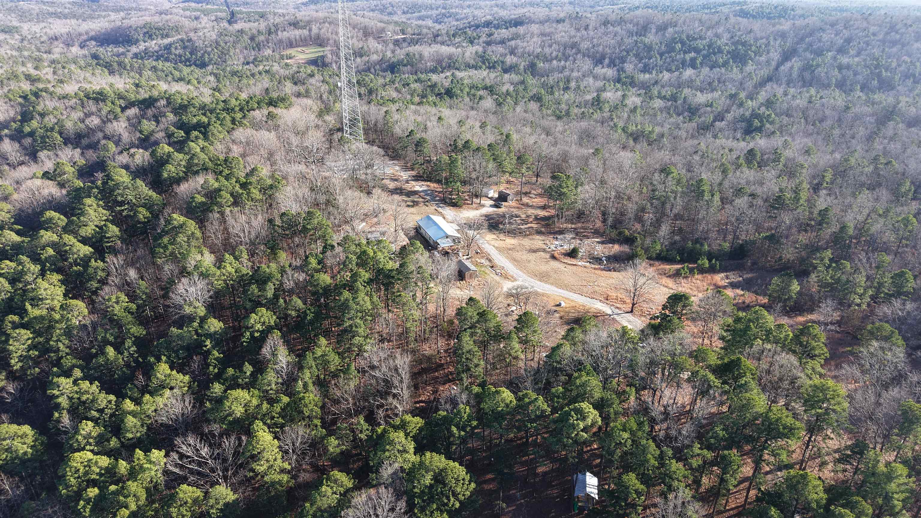 1236 Lewis  Melbourne, AR