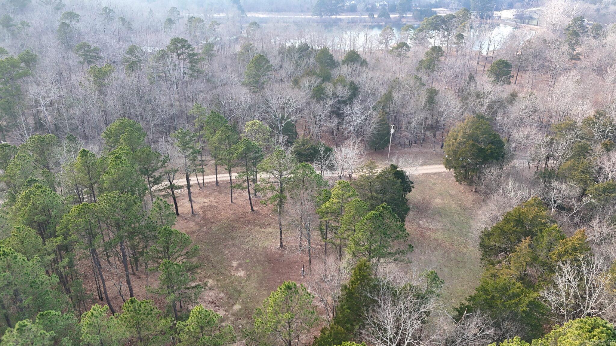 133 Estelle Lane  Mena, AR