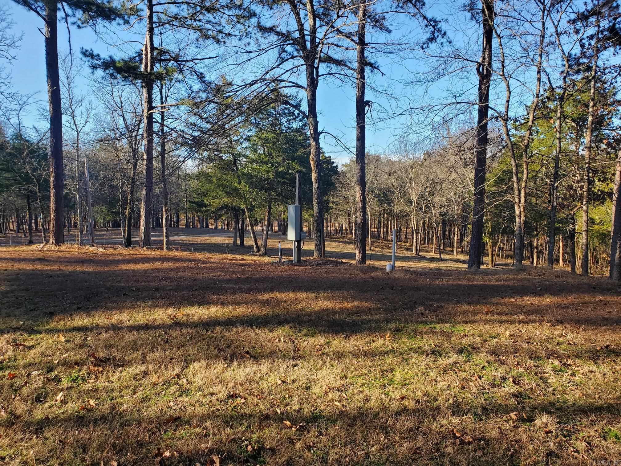 133 Estelle Lane  Mena, AR