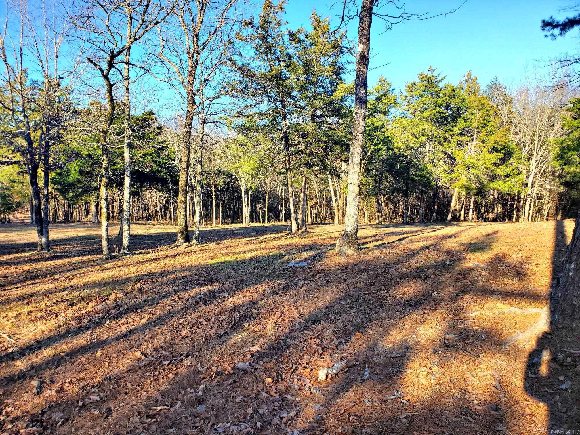 133 Estelle Lane  Mena, AR