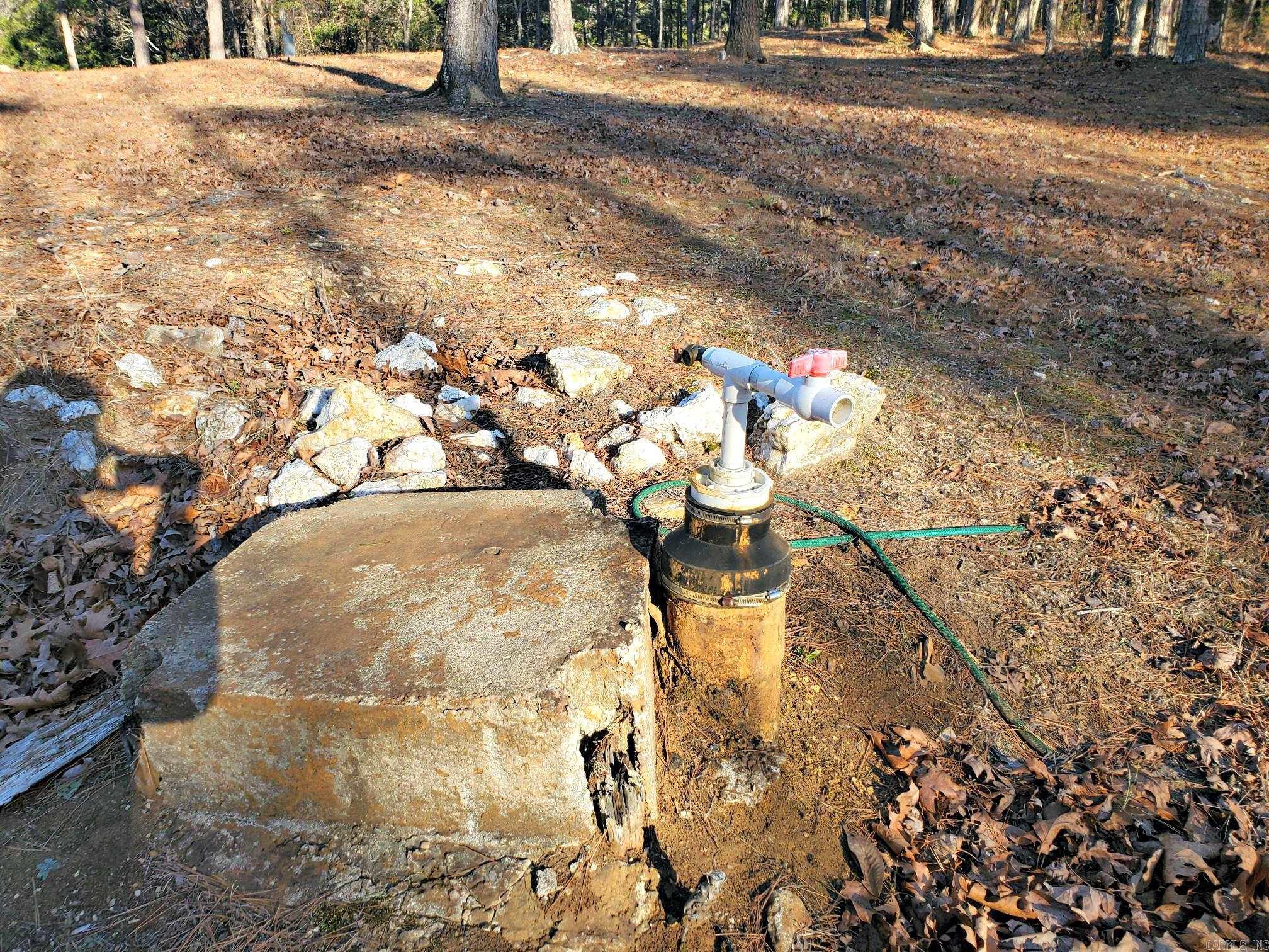 133 Estelle Lane  Mena, AR