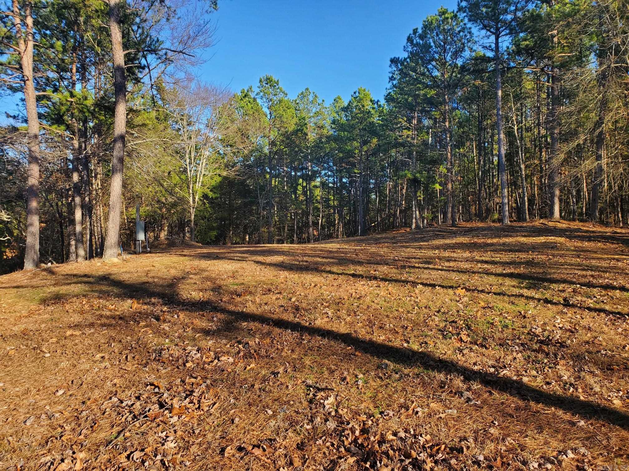 133 Estelle Lane  Mena, AR