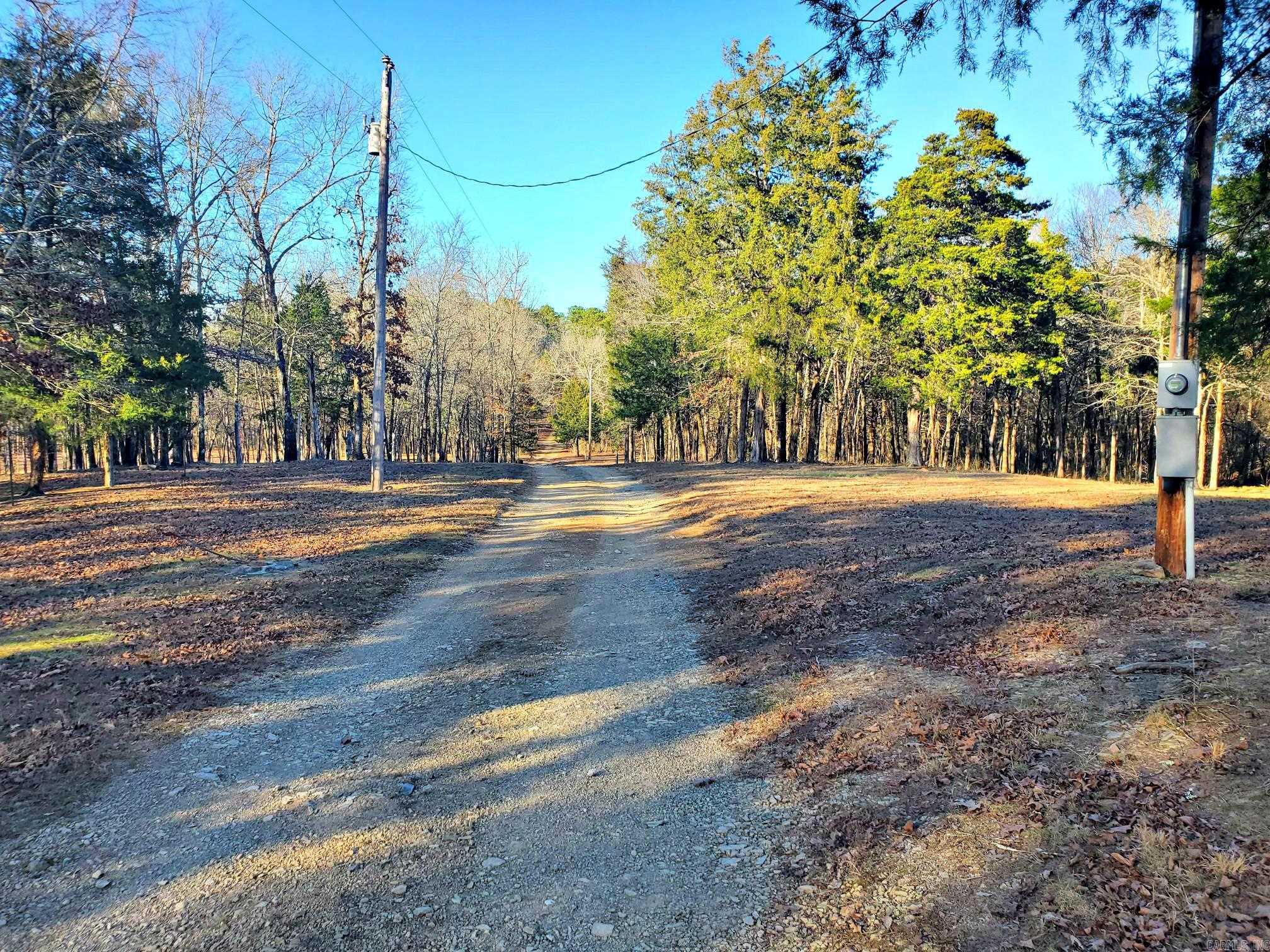 133 Estelle Lane  Mena, AR