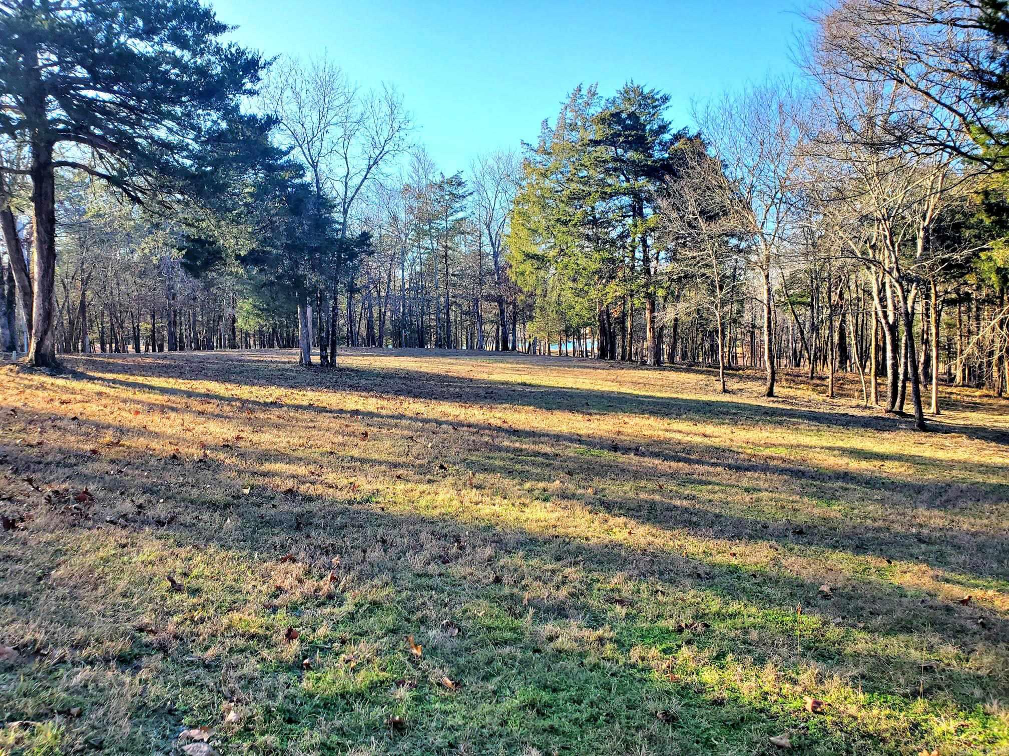 133 Estelle Lane  Mena, AR