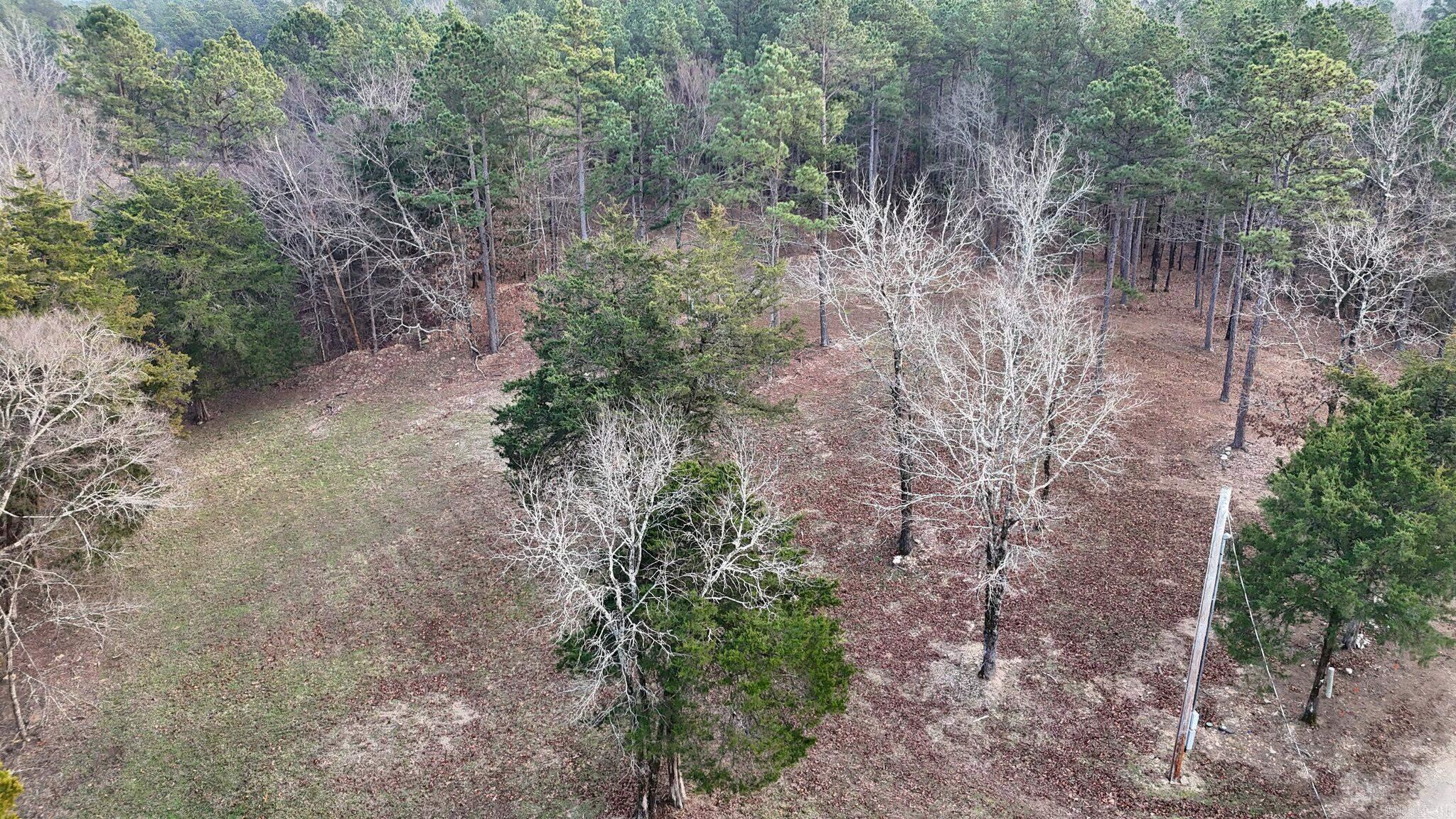 133 Estelle Lane  Mena, AR