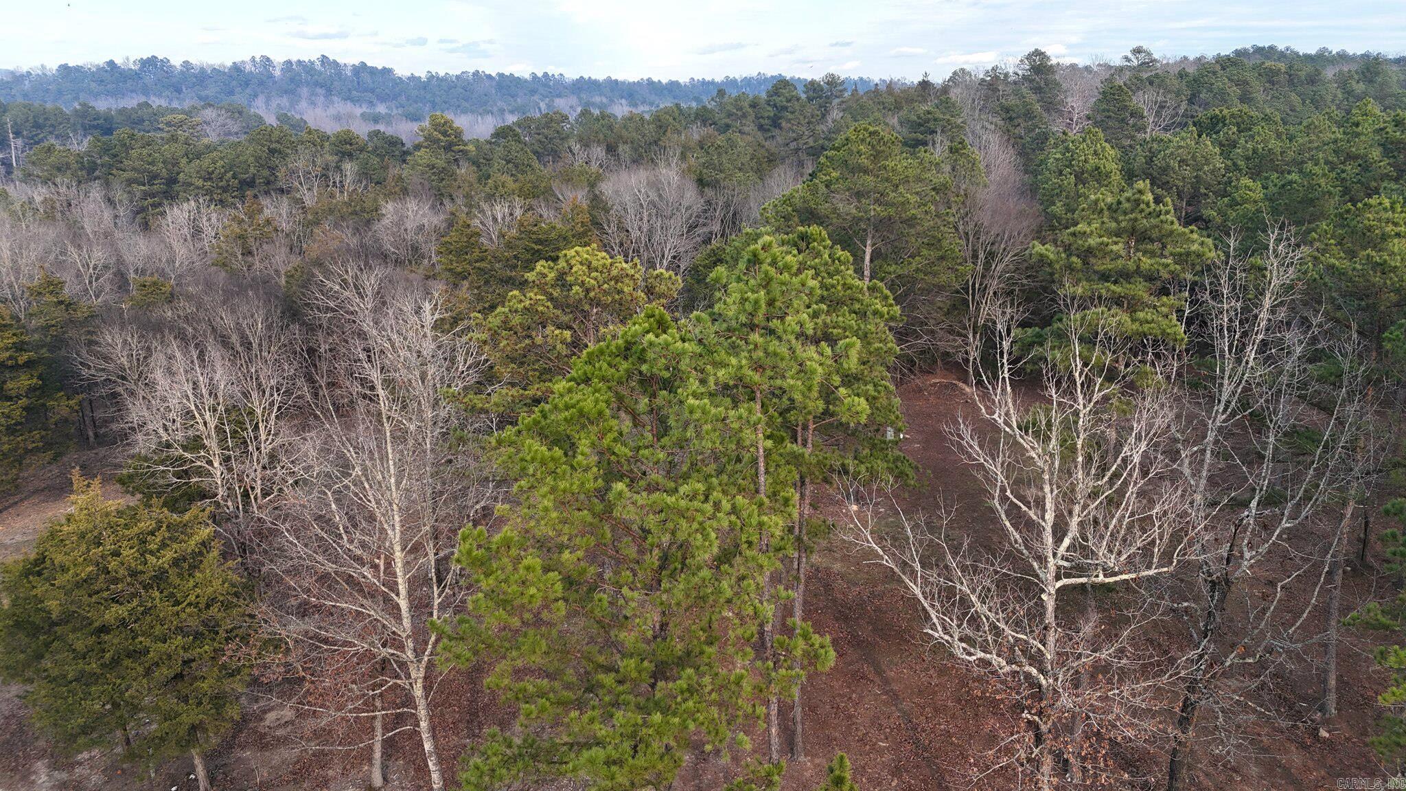 133 Estelle Lane  Mena, AR