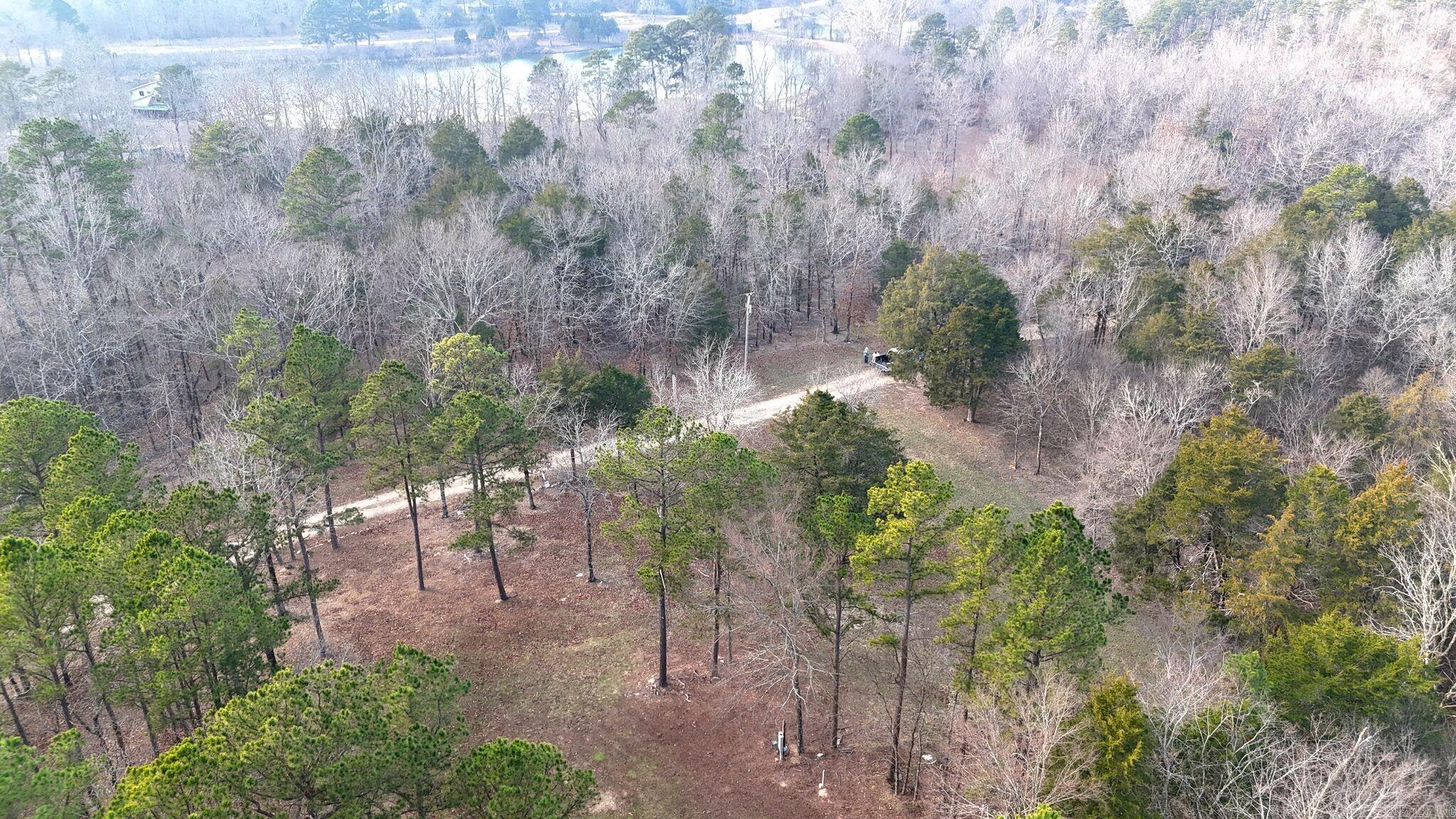 133 Estelle Lane  Mena, AR