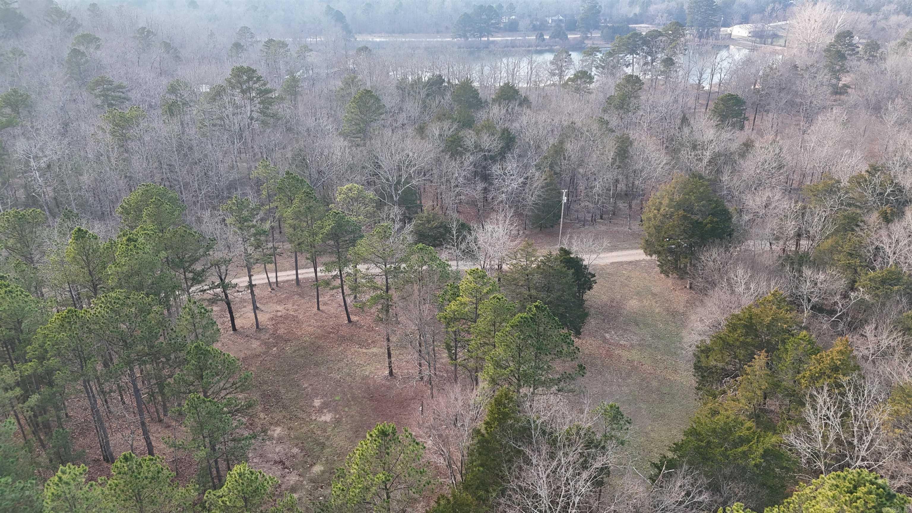 133 Estelle Lane  Mena, AR