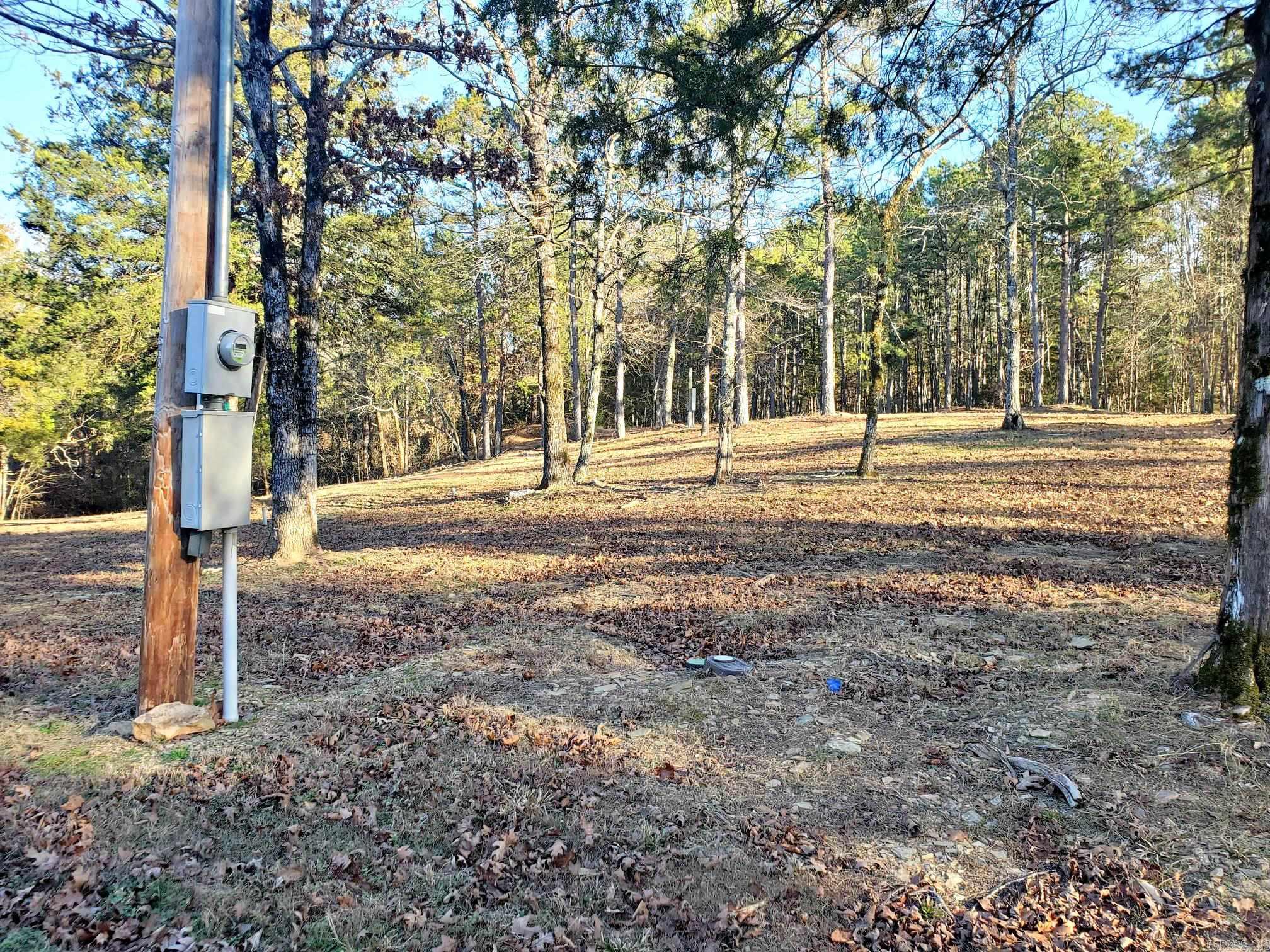 133 Estelle Lane  Mena, AR