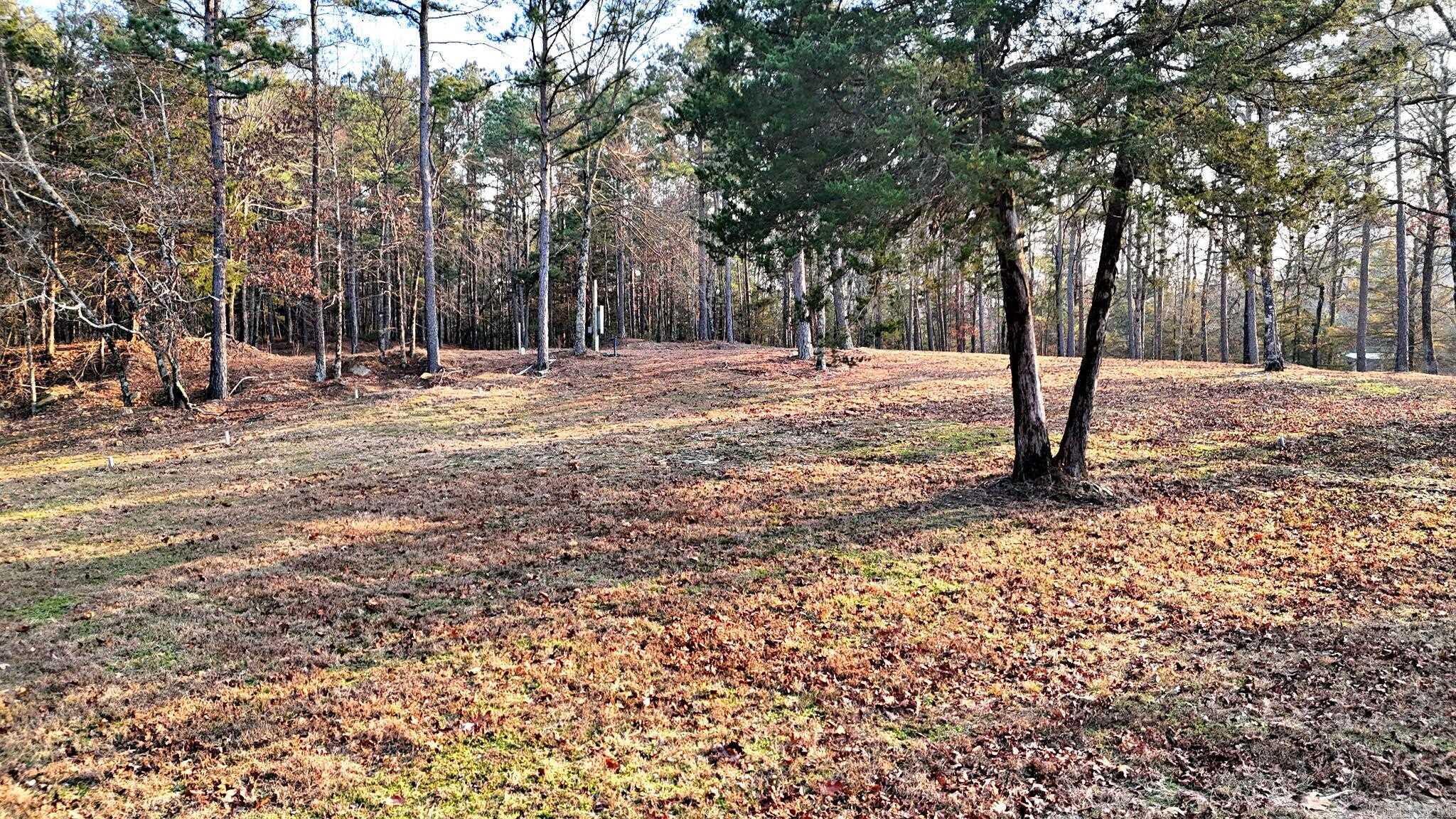 133 Estelle Lane  Mena, AR