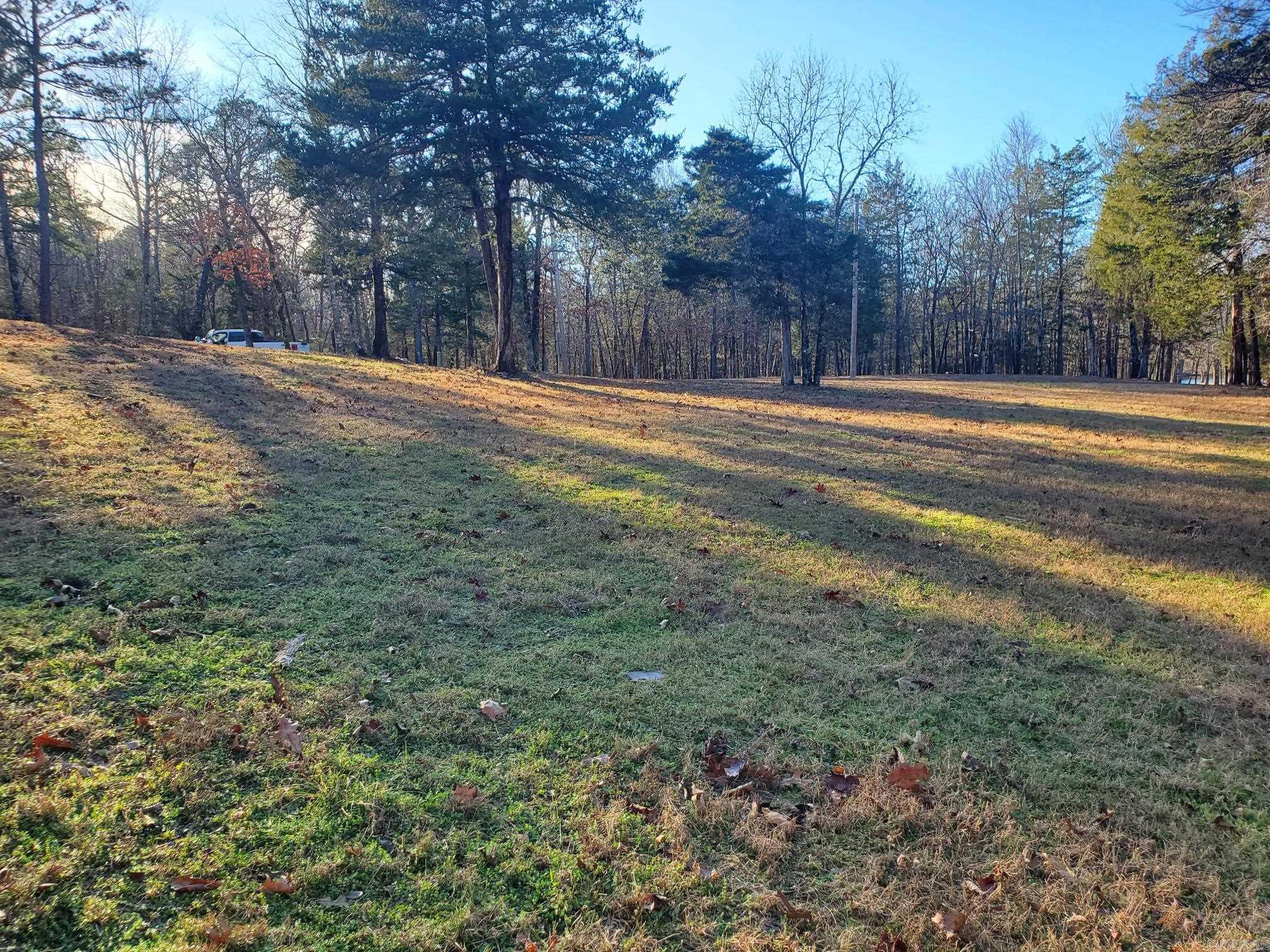 133 Estelle Lane  Mena, AR