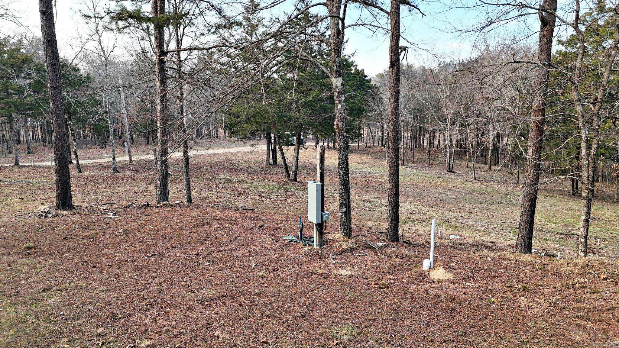 133 Estelle Lane  Mena, AR