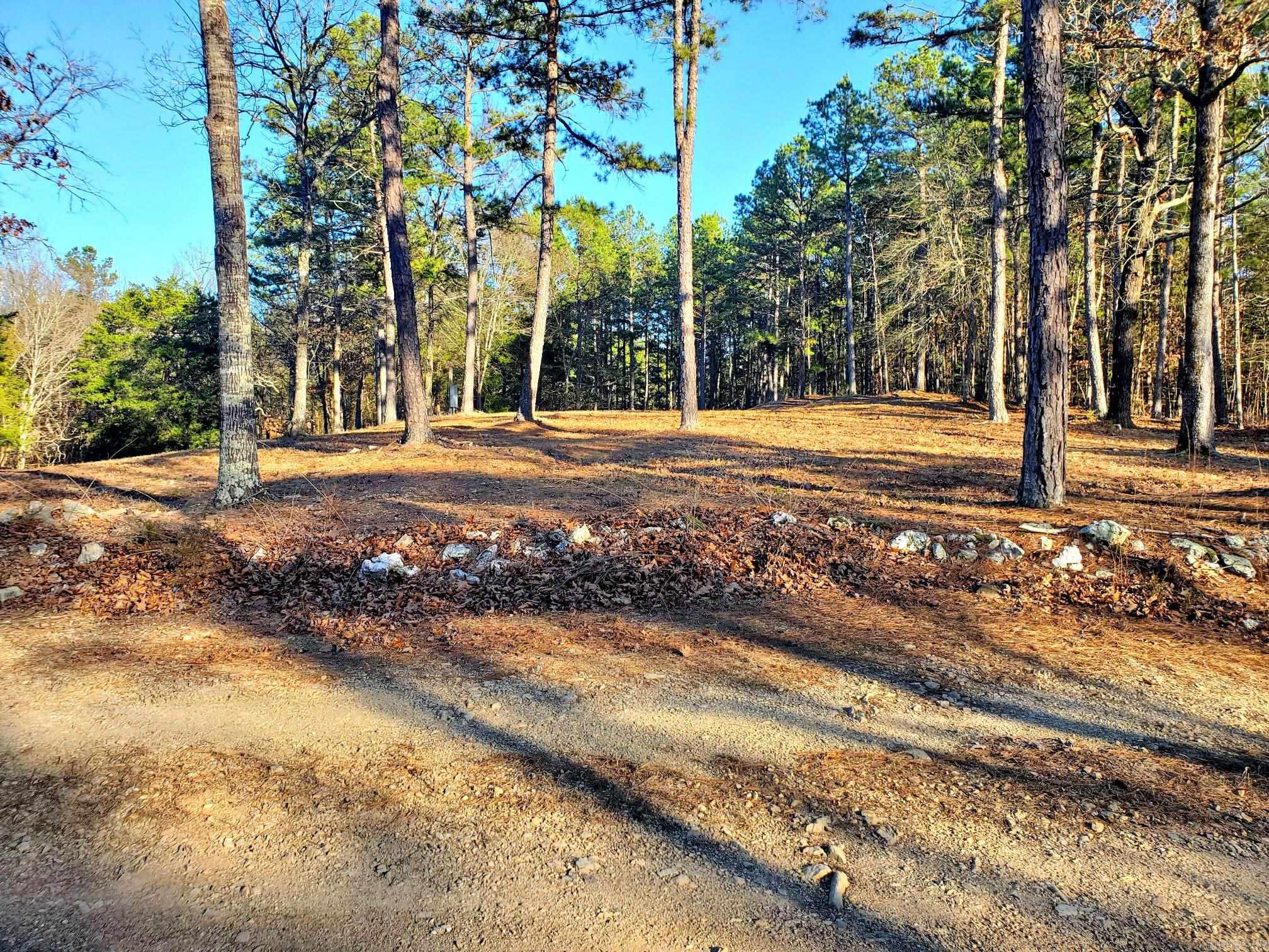 133 Estelle Lane  Mena, AR