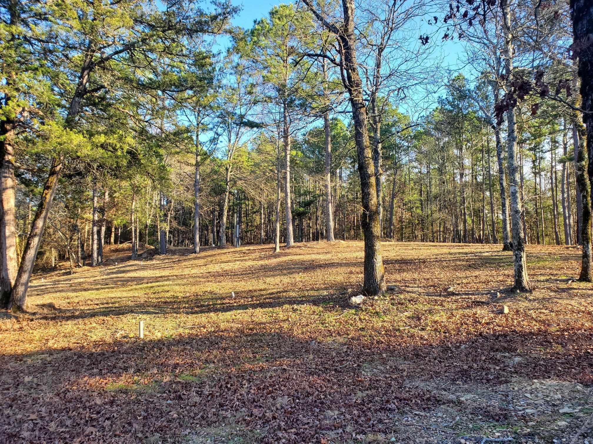 133 Estelle Lane  Mena, AR