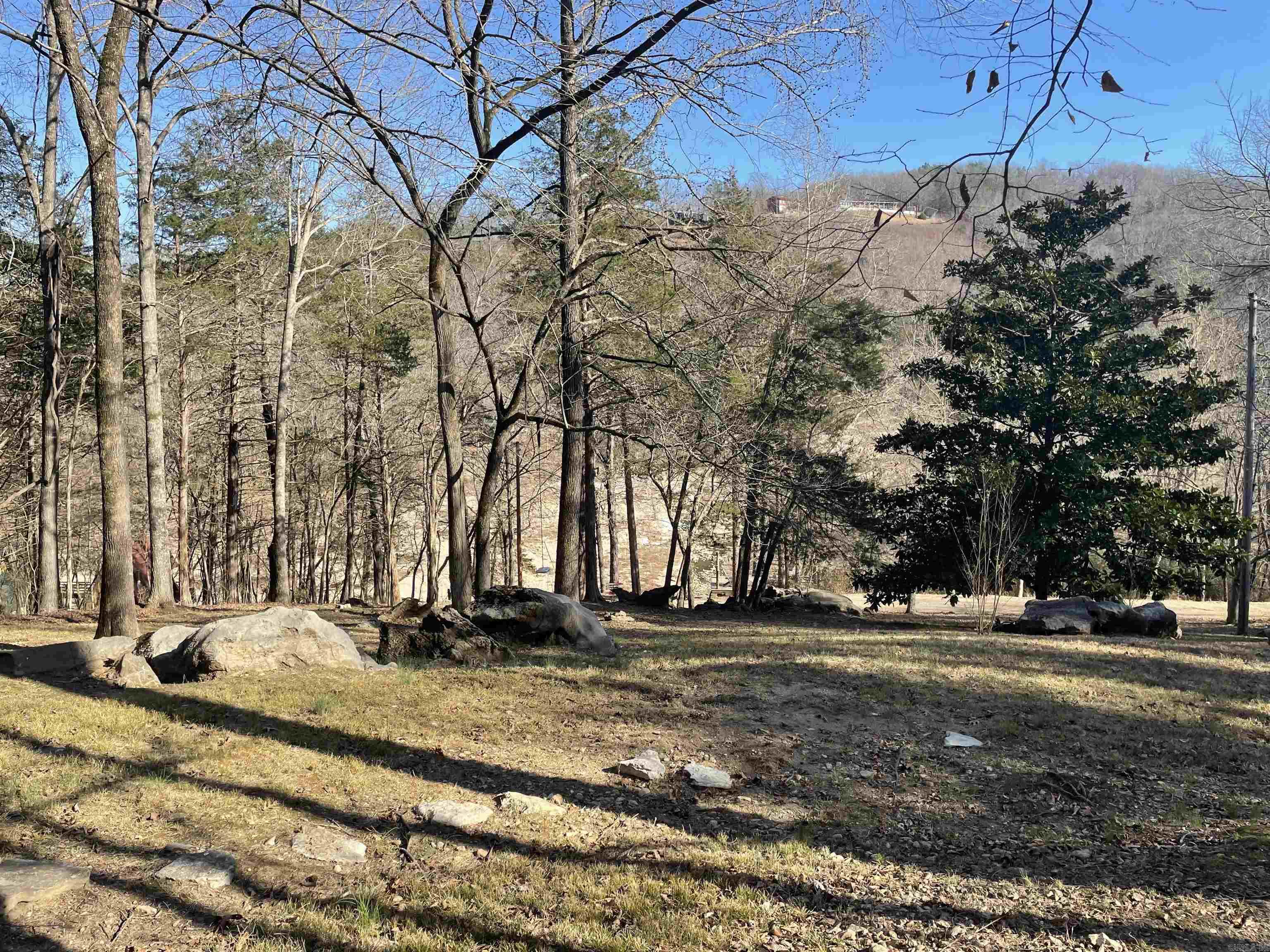 272 & 222 Peace Mountain Road  Mountain View, AR