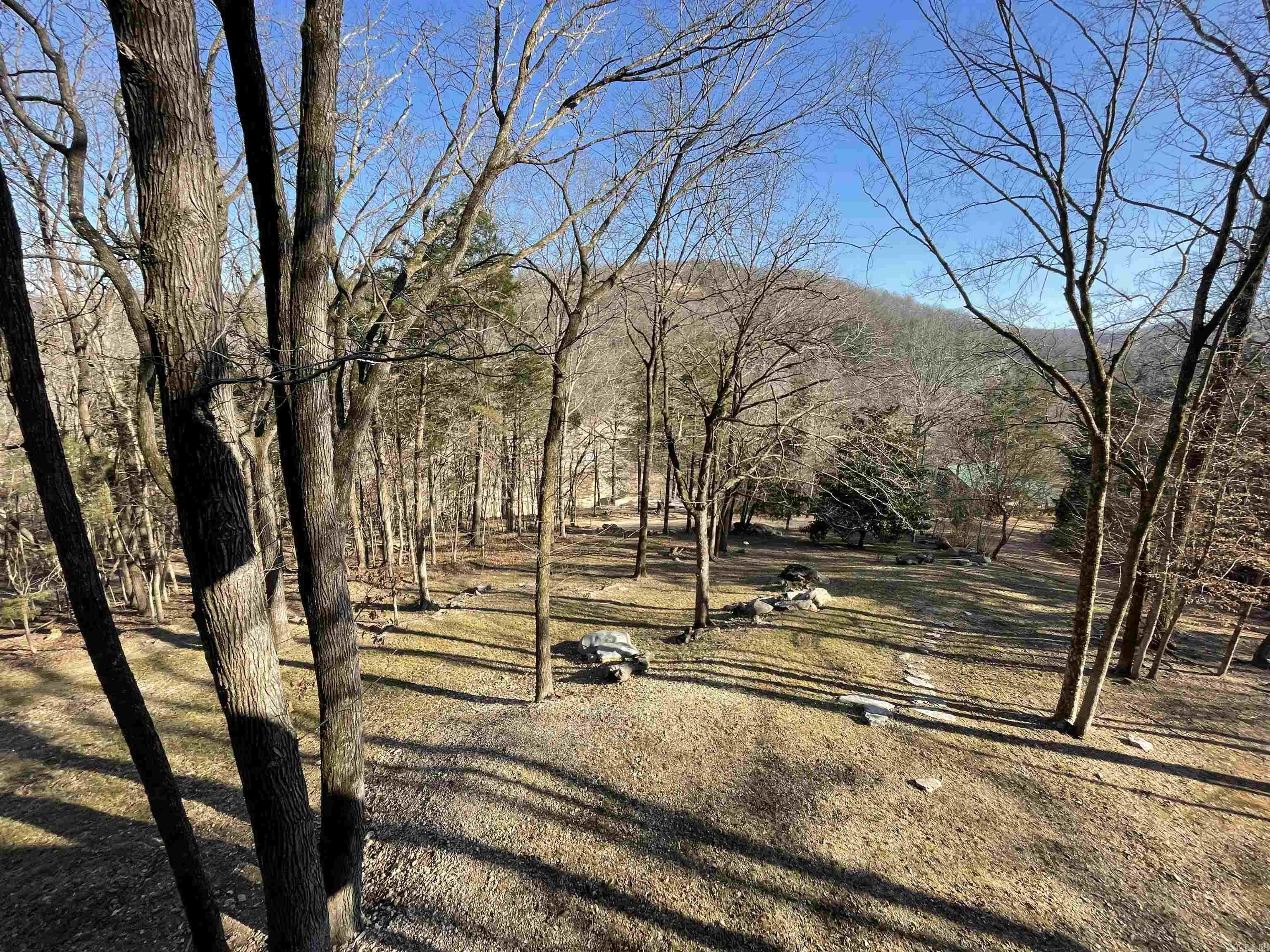 272 & 222 Peace Mountain Road  Mountain View, AR