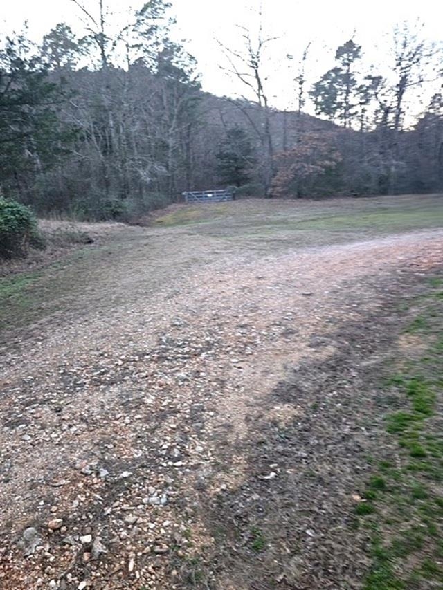 398 Millcreek  Pleasant Grove, AR