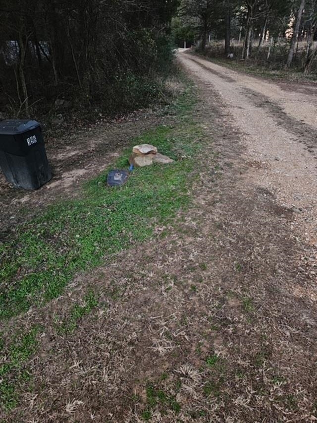 398 Millcreek  Pleasant Grove, AR