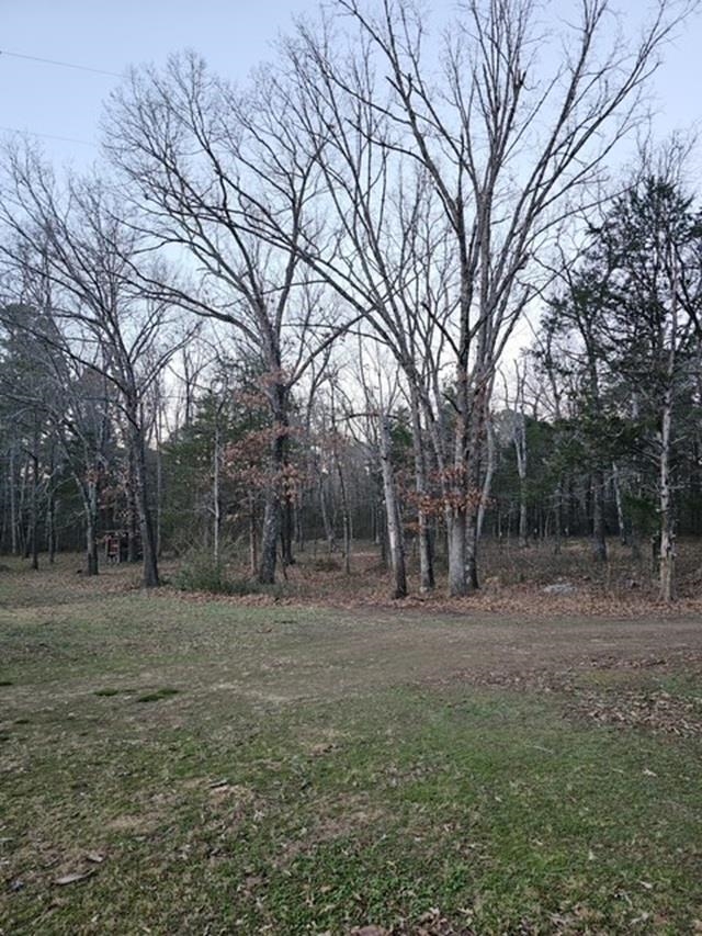 398 Millcreek  Pleasant Grove, AR