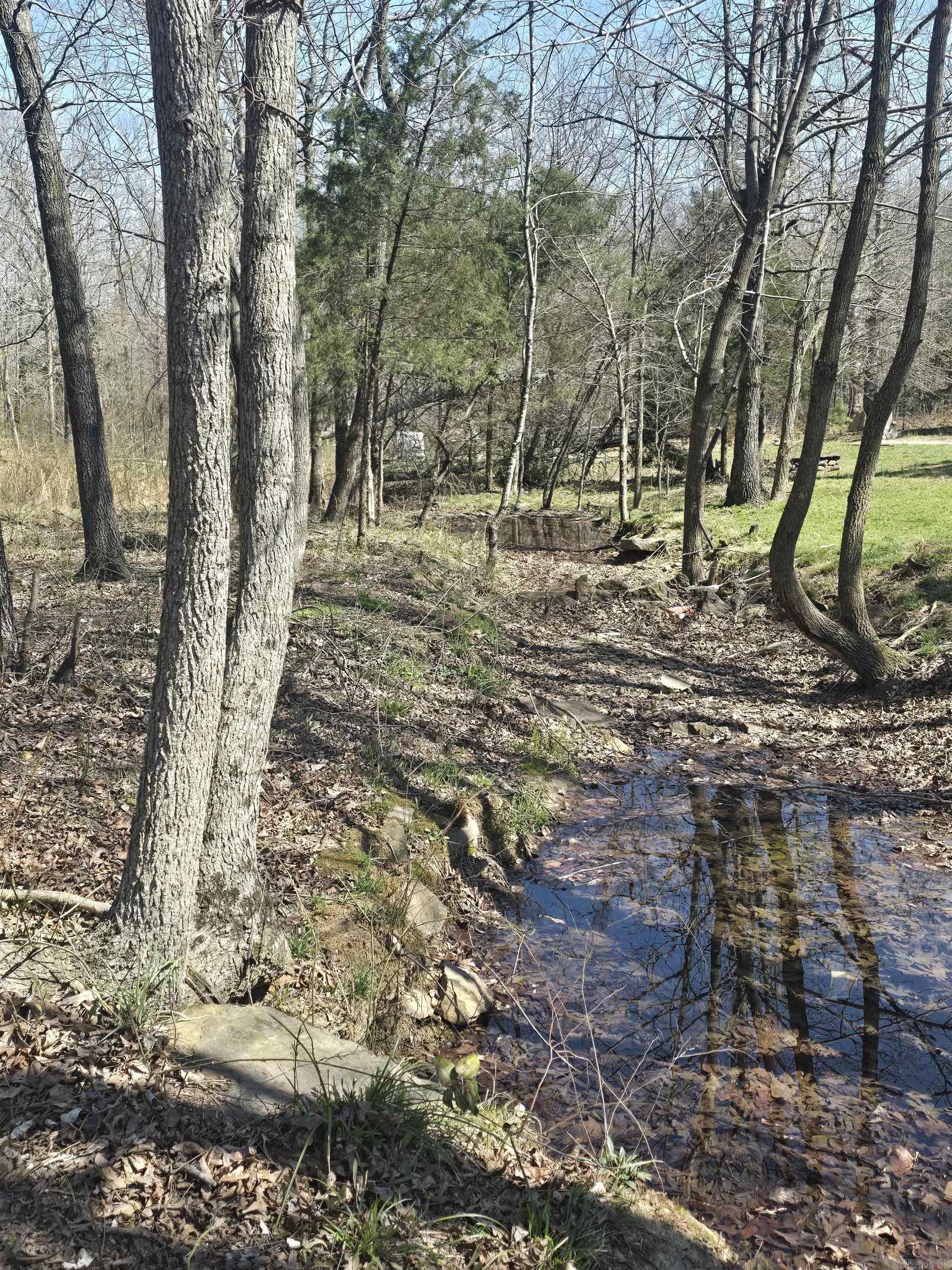 459 Junction Road Mountain View, AR 72560