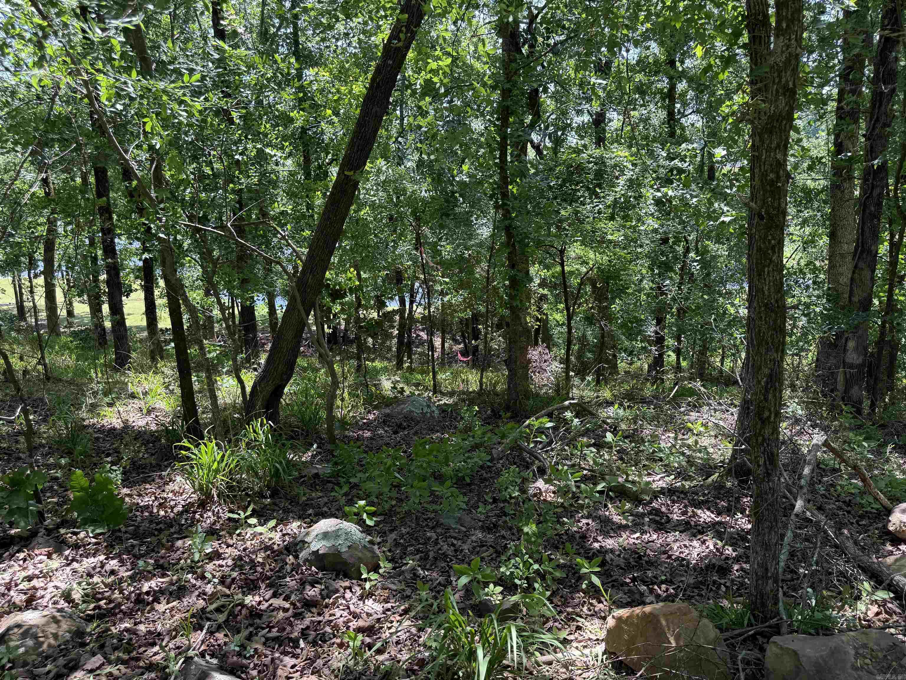 901 Conrad  Jacksonville, AR