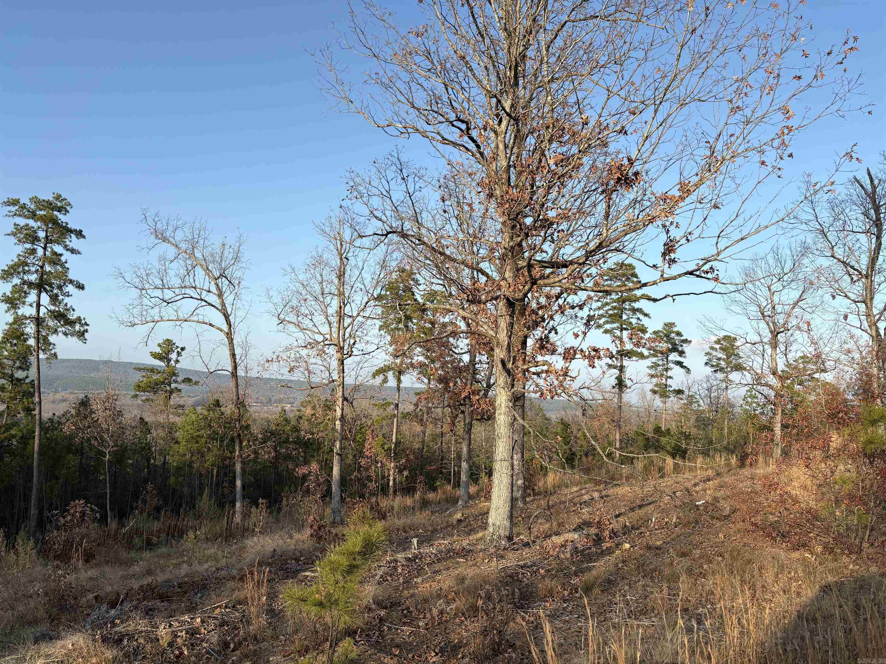 21216 valley view  Roland, AR