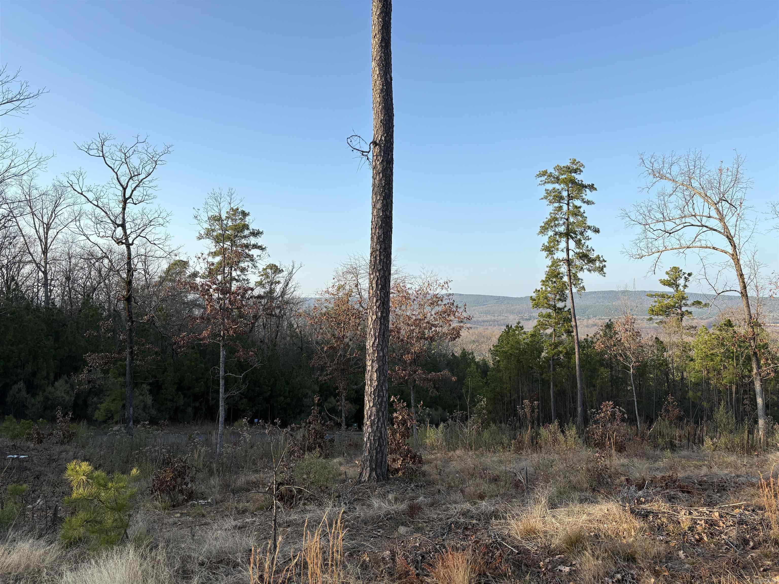 21216 valley view  Roland, AR