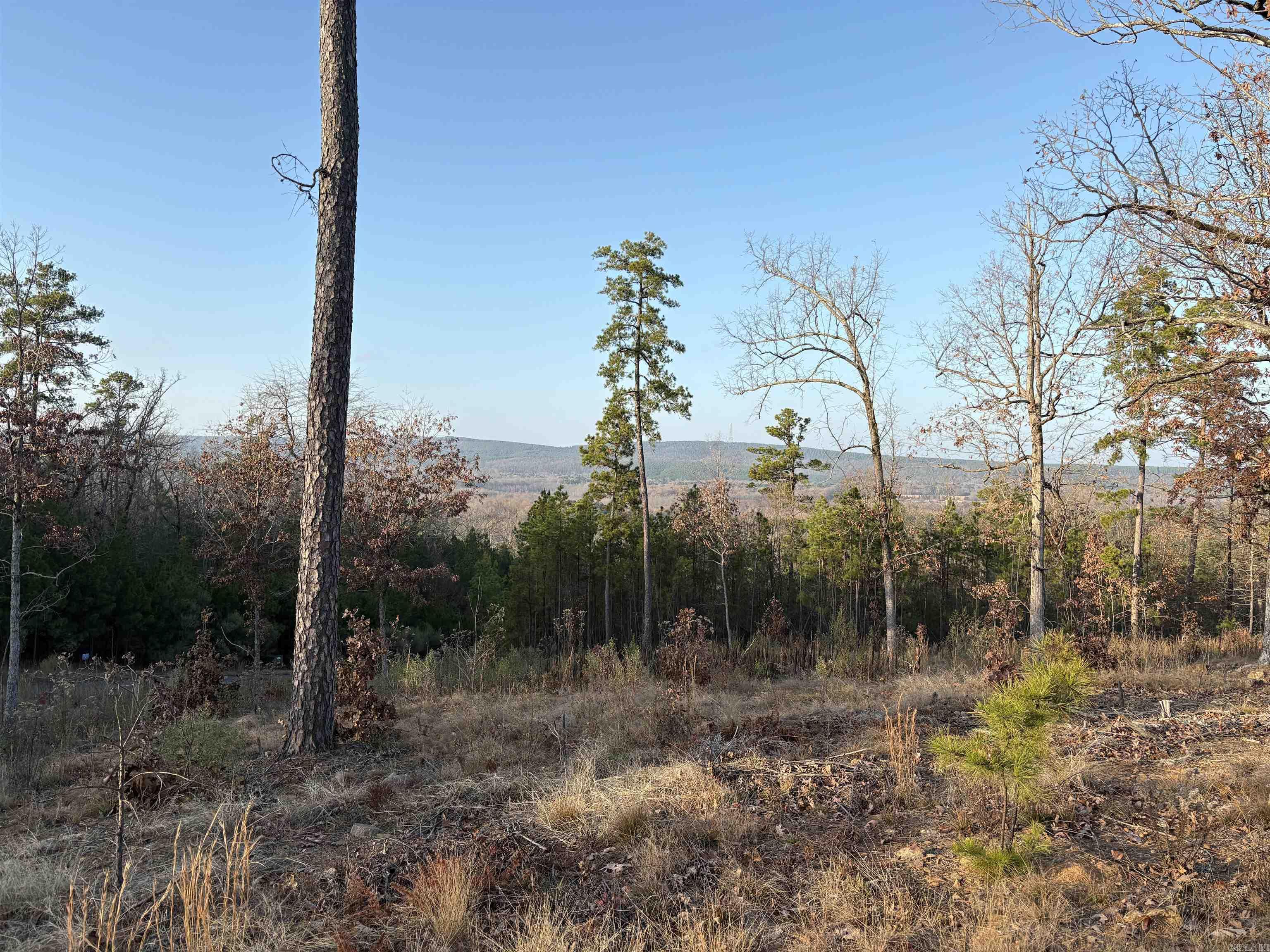 21216 valley view  Roland, AR